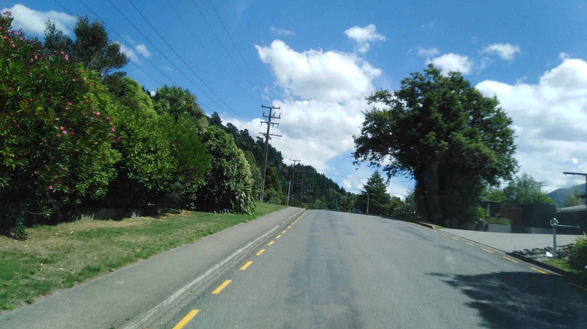 Street view near channel lights, Picton — © 1111 (CC BY-SA · Mapillary)