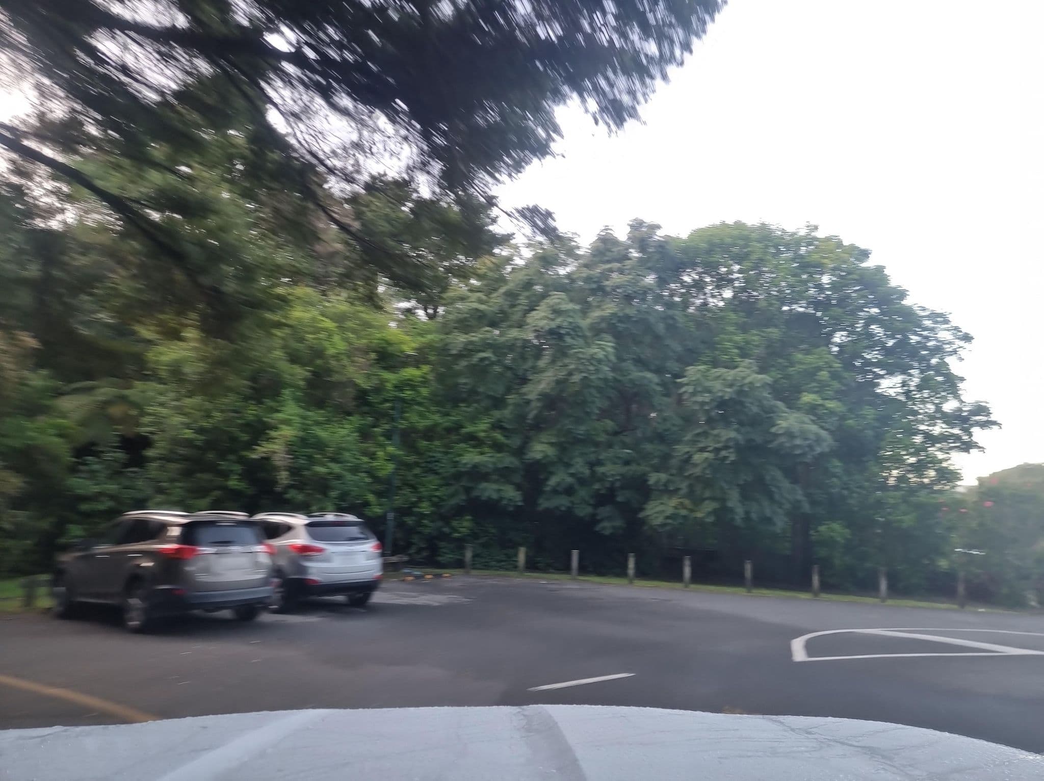 Street view near By the Park B&B, Whangarei — © timwardWDC (CC BY-SA · Mapillary)
