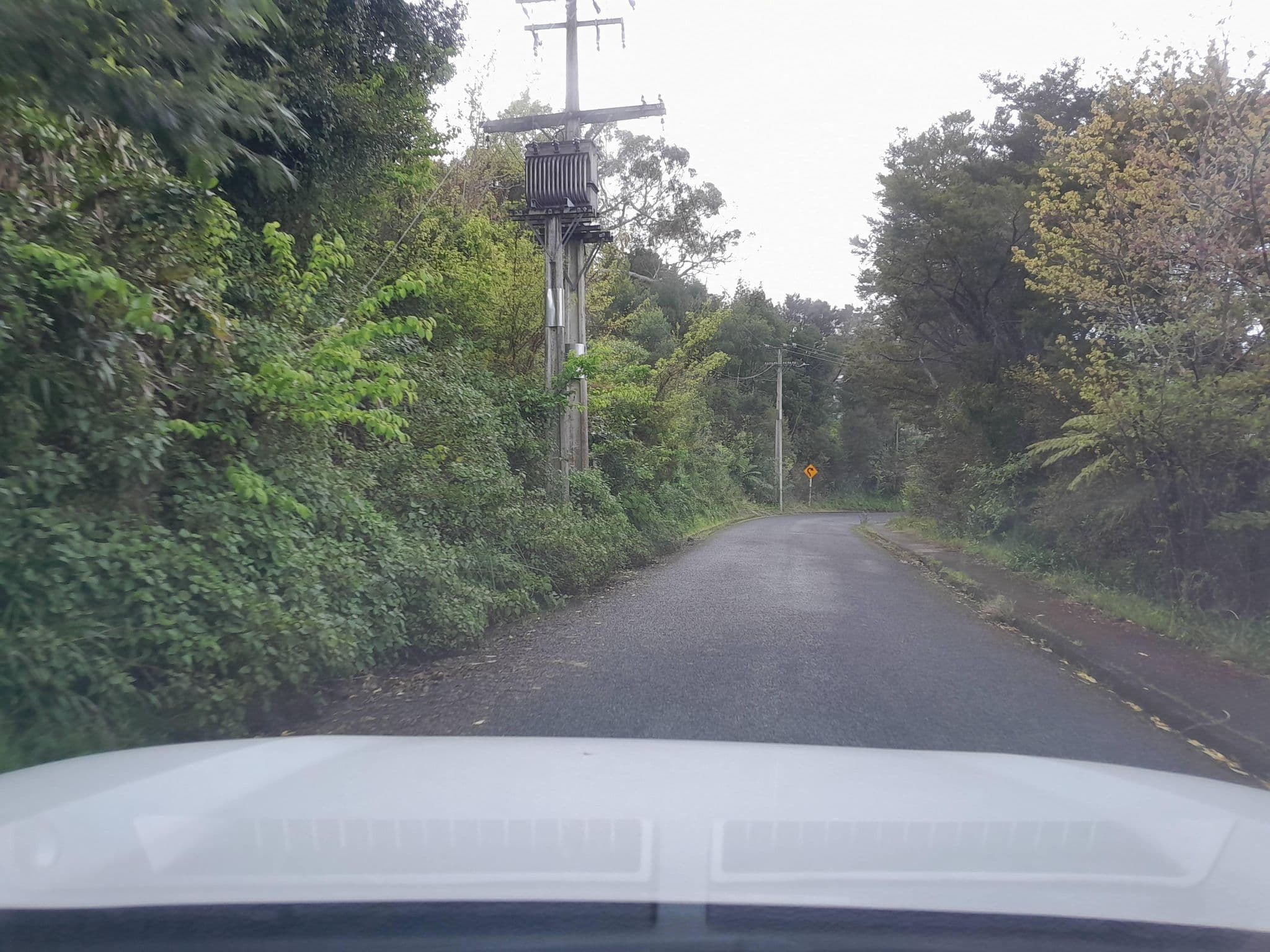 Street view near YHA, Whangarei — © marklt (CC BY-SA · Mapillary)