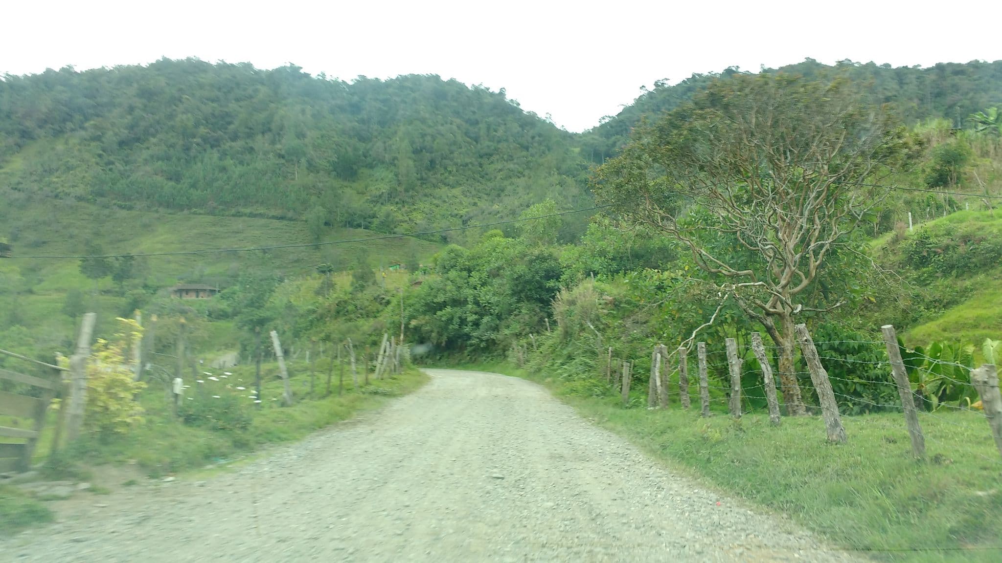 Street view near Mr. Campamento, Barbosa — © kleper (CC BY-SA · Mapillary)