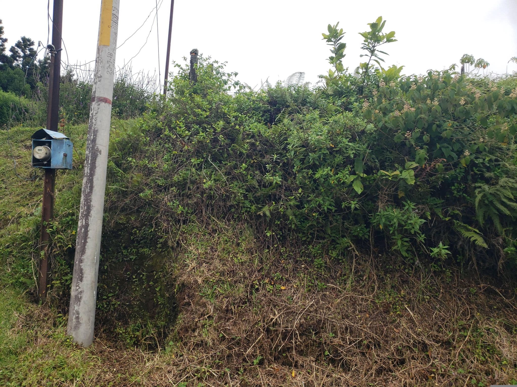 Street view near Spring House Ecolodge, Santo Domingo — © mapfool (CC BY-SA · Mapillary)