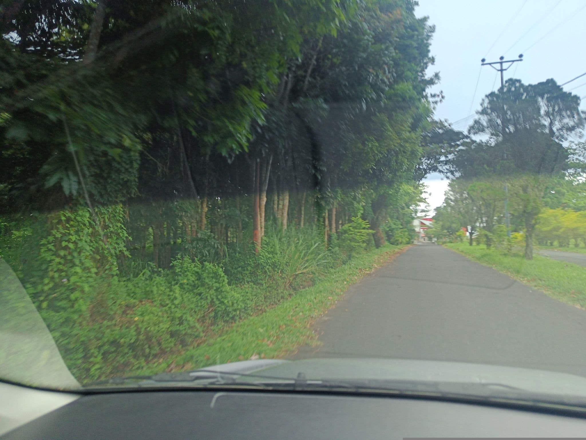 Street view near Kos Jony Indo, Tondano — © hen0ch (CC BY-SA · Mapillary)