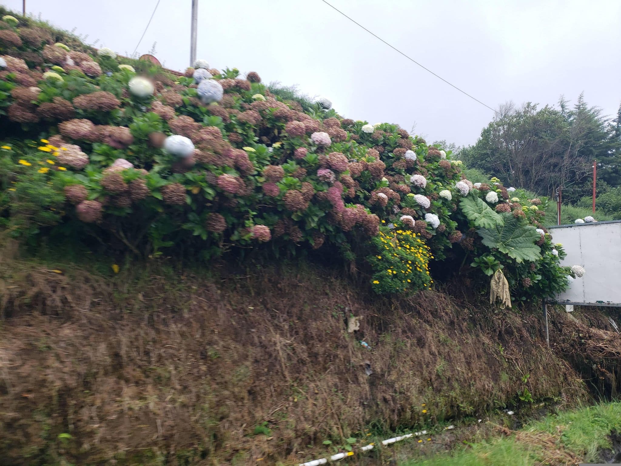 Street view near Hotel El Churrasco, Santo Domingo — © mapfool (CC BY-SA · Mapillary)