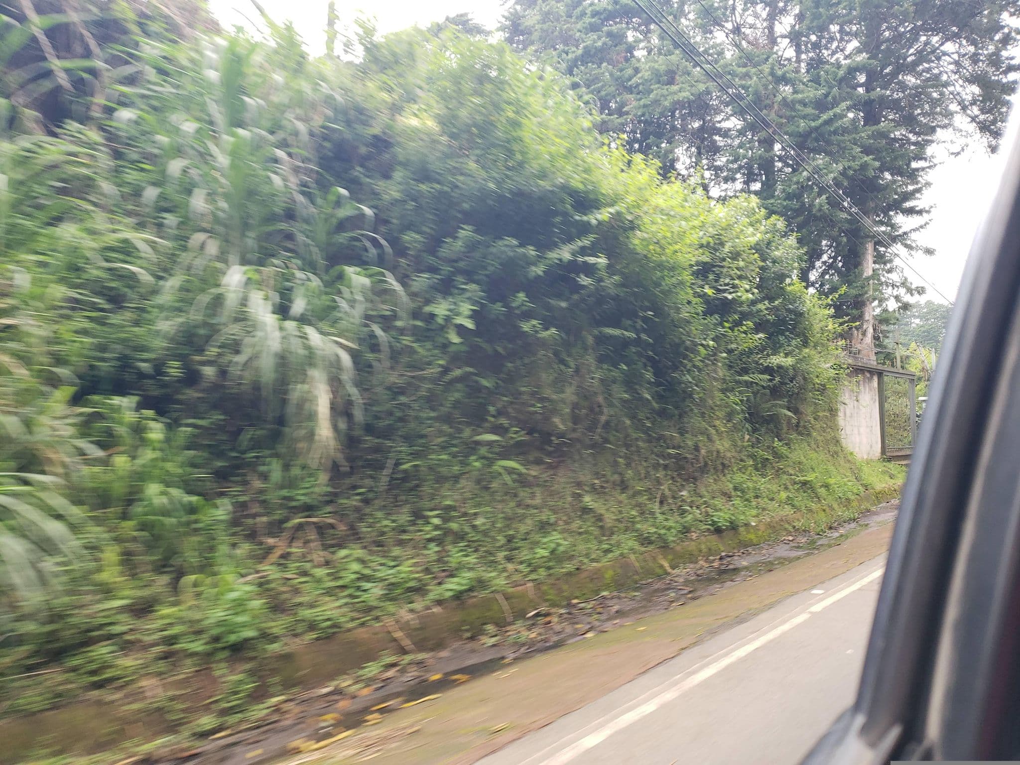 Street view near Cabinas Bosques de Fraijanes, Santo Domingo — © mapfool (CC BY-SA · Mapillary)