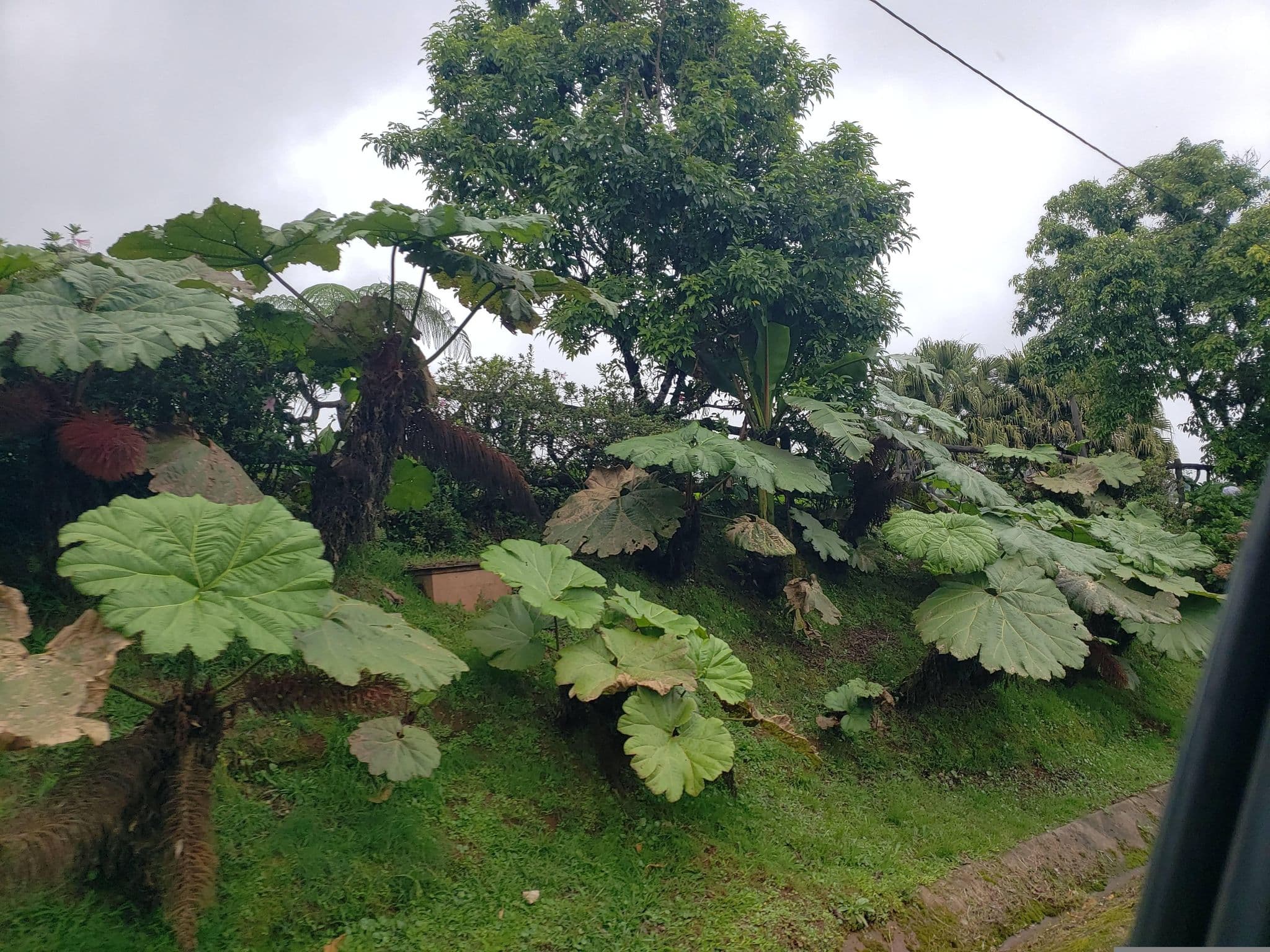 Street view near Peace Lodge, Santo Domingo — © mapfool (CC BY-SA · Mapillary)