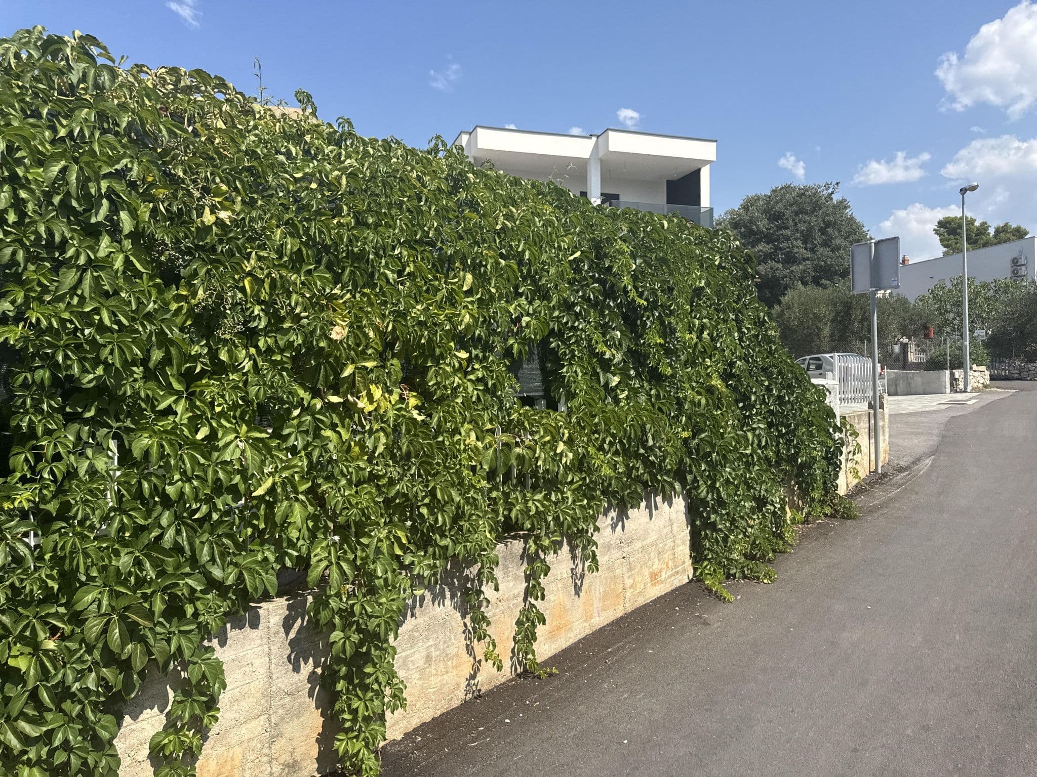 Street view near Villa Solsikke, Brodarica — © oerdnj (CC BY-SA · Mapillary)