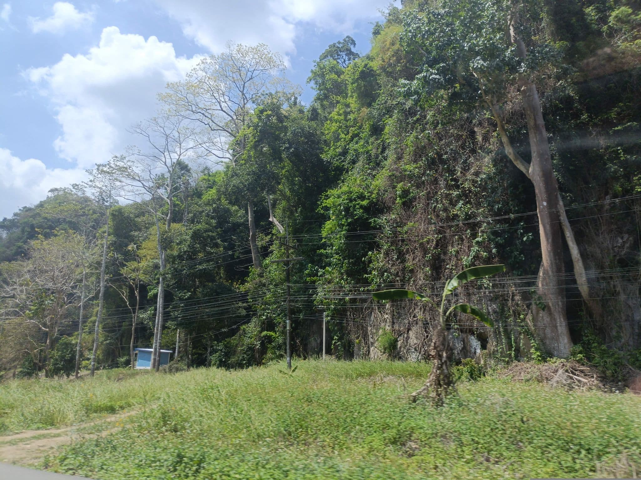 Street view near khiri montra khaosok, Tha Khanon — © skillsy (CC BY-SA · Mapillary)