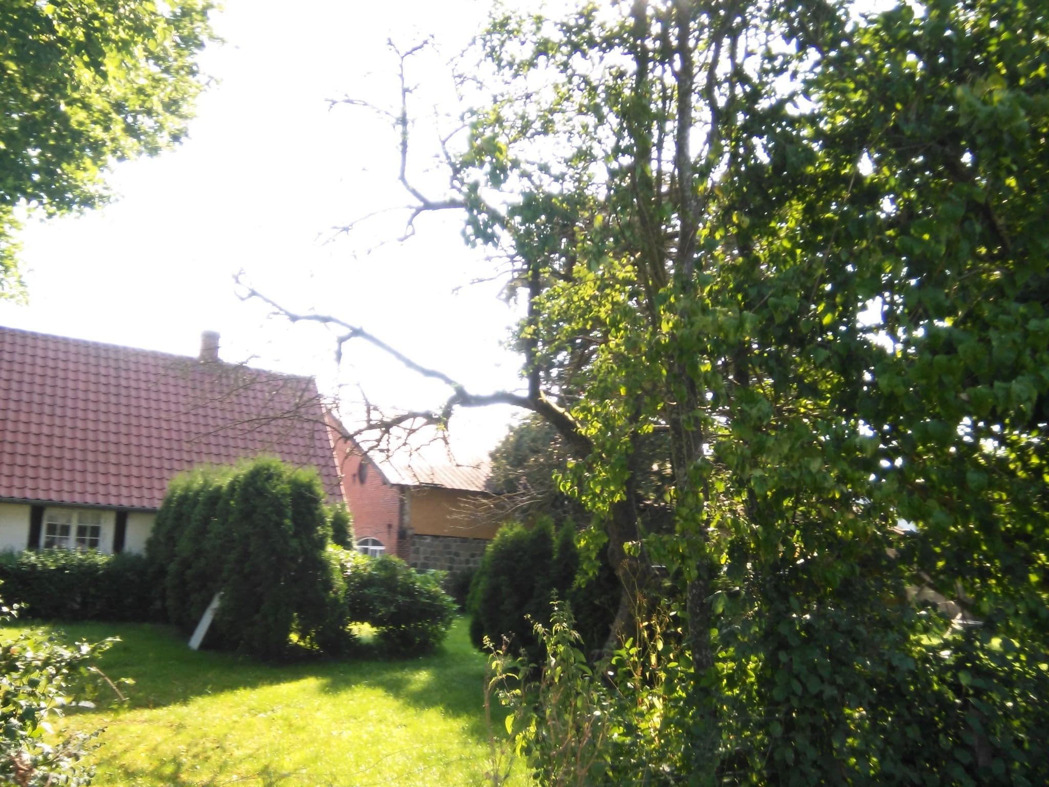 Street view near Tåstrup Garden, Harlev — © nico (CC BY-SA · Mapillary)