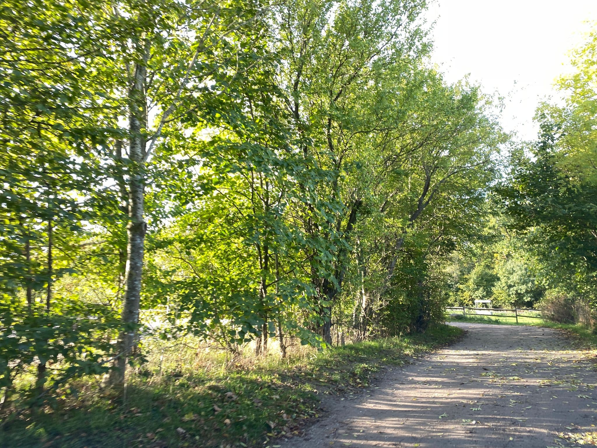 Street view near Soegaardens Bb, Lynge — © mapnerd_dk (CC BY-SA · Mapillary)