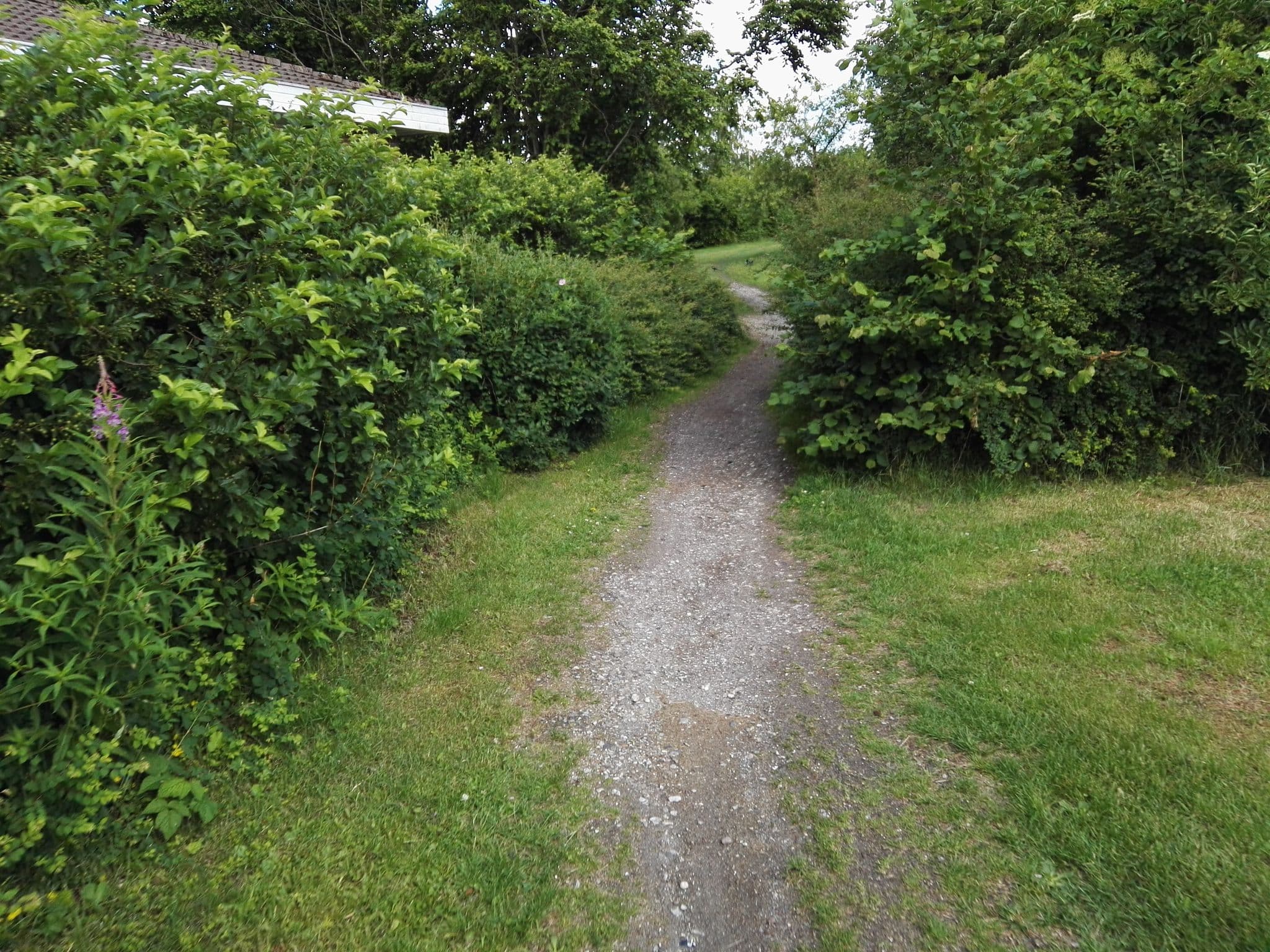 Street view near Karen-Margrethes Kolonihave, Ballerup — © neogeografen (CC BY-SA · Mapillary)