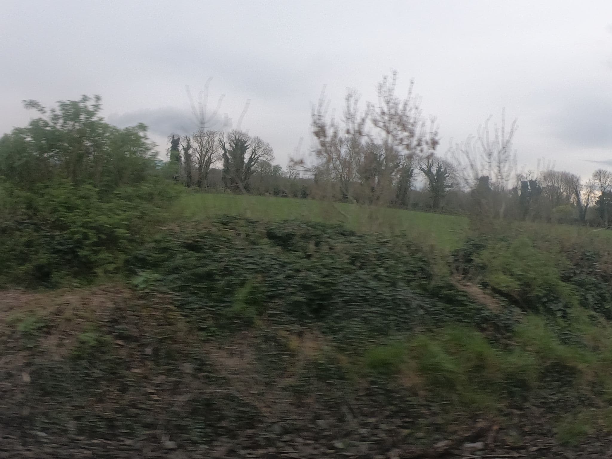 Street view near Pembroke Hotel, Hartstown — © lineo (CC BY-SA · Mapillary)