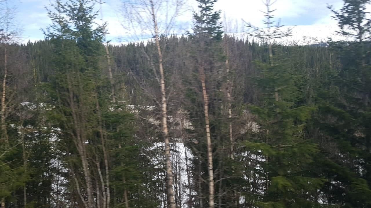 Street view near Et Himmelsk Sidesprang SA, Mosjøen — © pbb (CC BY-SA · Mapillary)