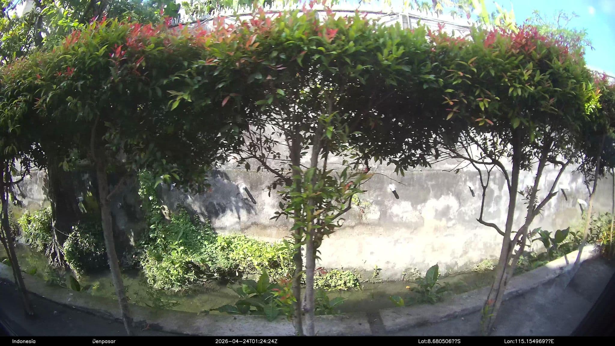 Street view near Cicada Luxury Townhouses, Legian