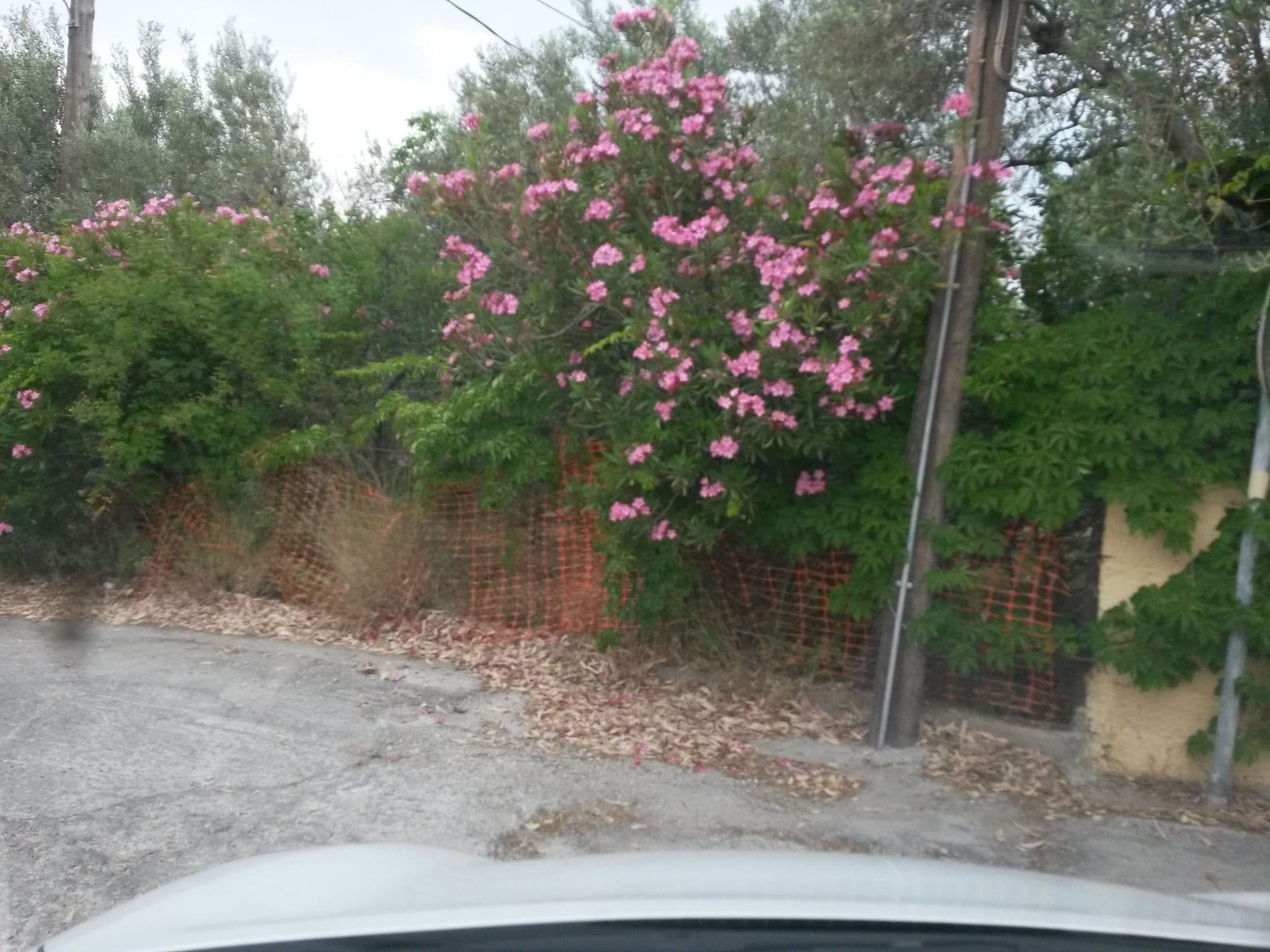 Street view near Silver Bay Hotel & Bungalows, Mória — © kay_d (CC BY-SA · Mapillary)