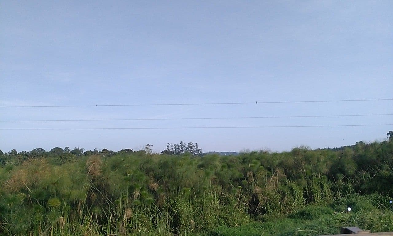 Street view near VINTAGE ECO LODGE & CAMPSITE, Kasangati — © ralebipim (CC BY-SA · Mapillary)