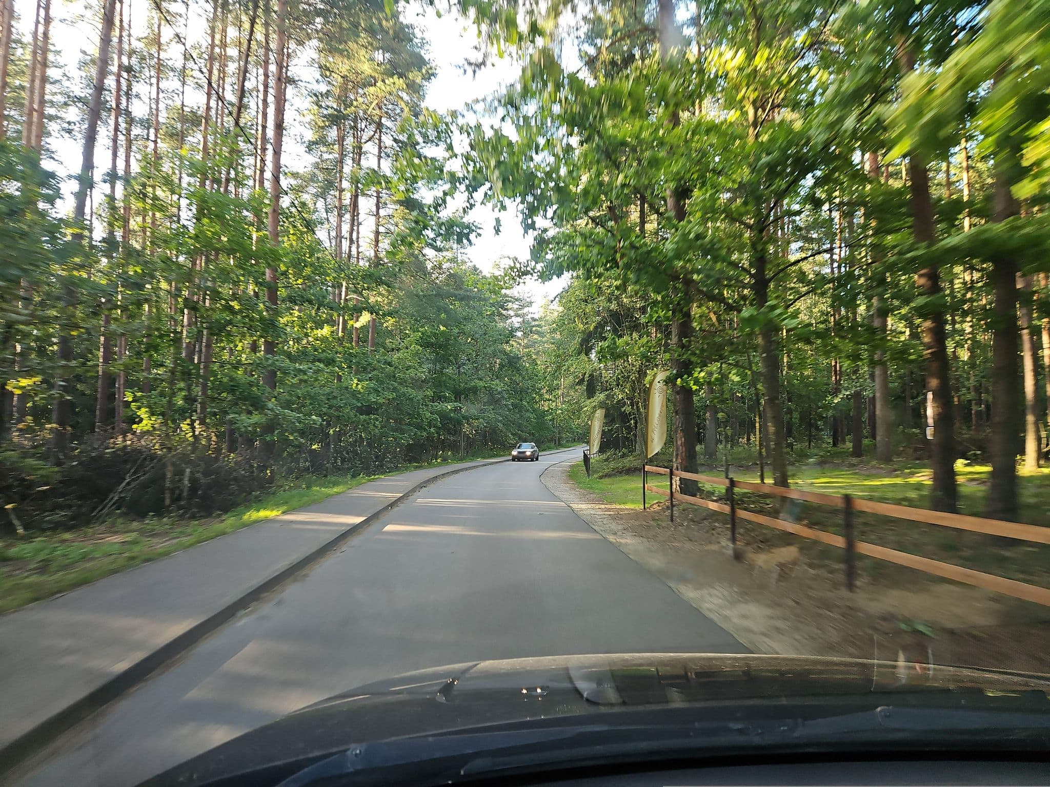 Street view near eL PAKRANTĖ, Plateliai — © ursus (CC BY-SA · Mapillary)