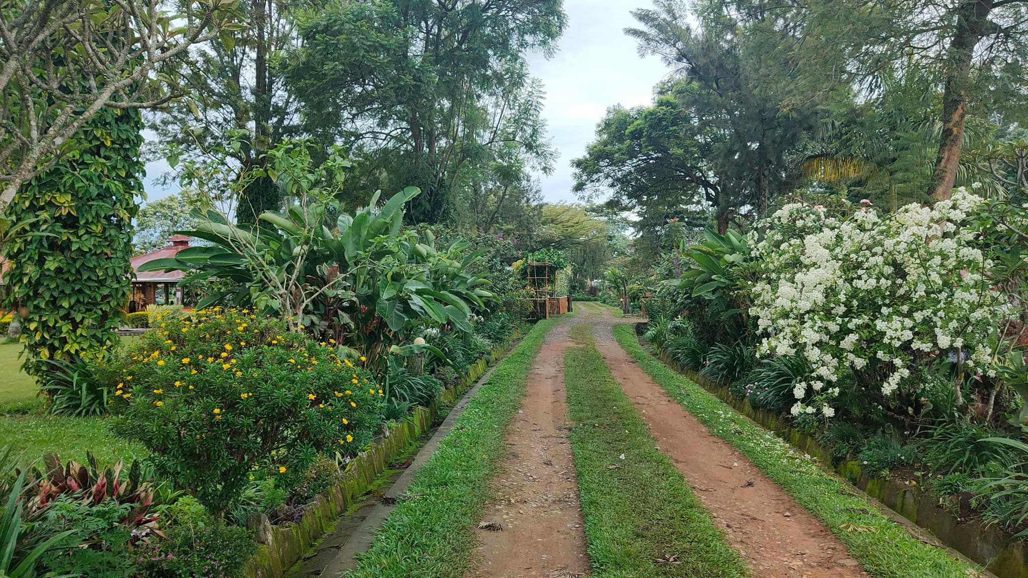 Street view near Kluges Guest Farm, Buhesi — © robzorn (CC BY-SA · Mapillary)