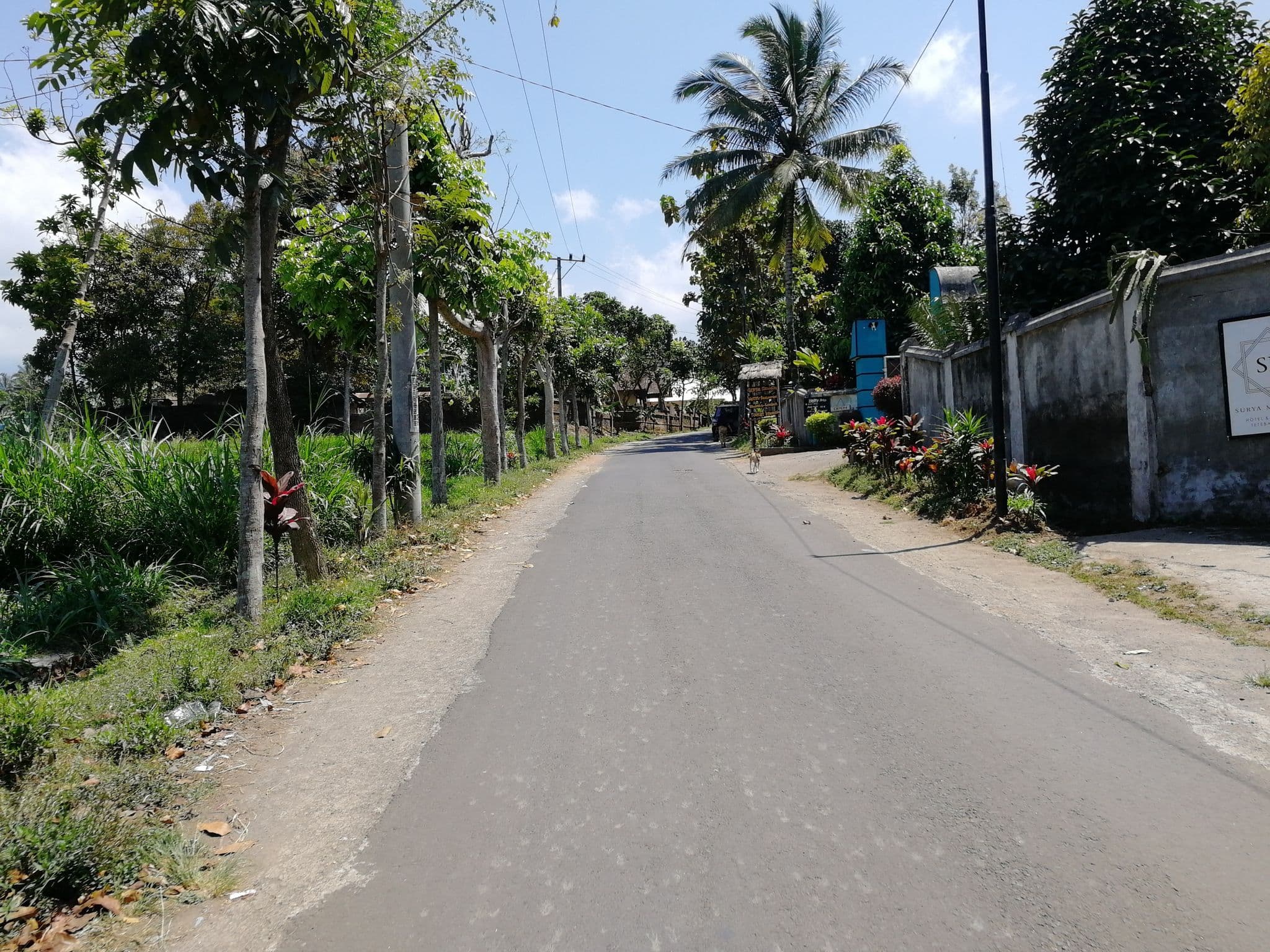 Street view near surya guest house, Selong — © thewayofmando (CC BY-SA · Mapillary)