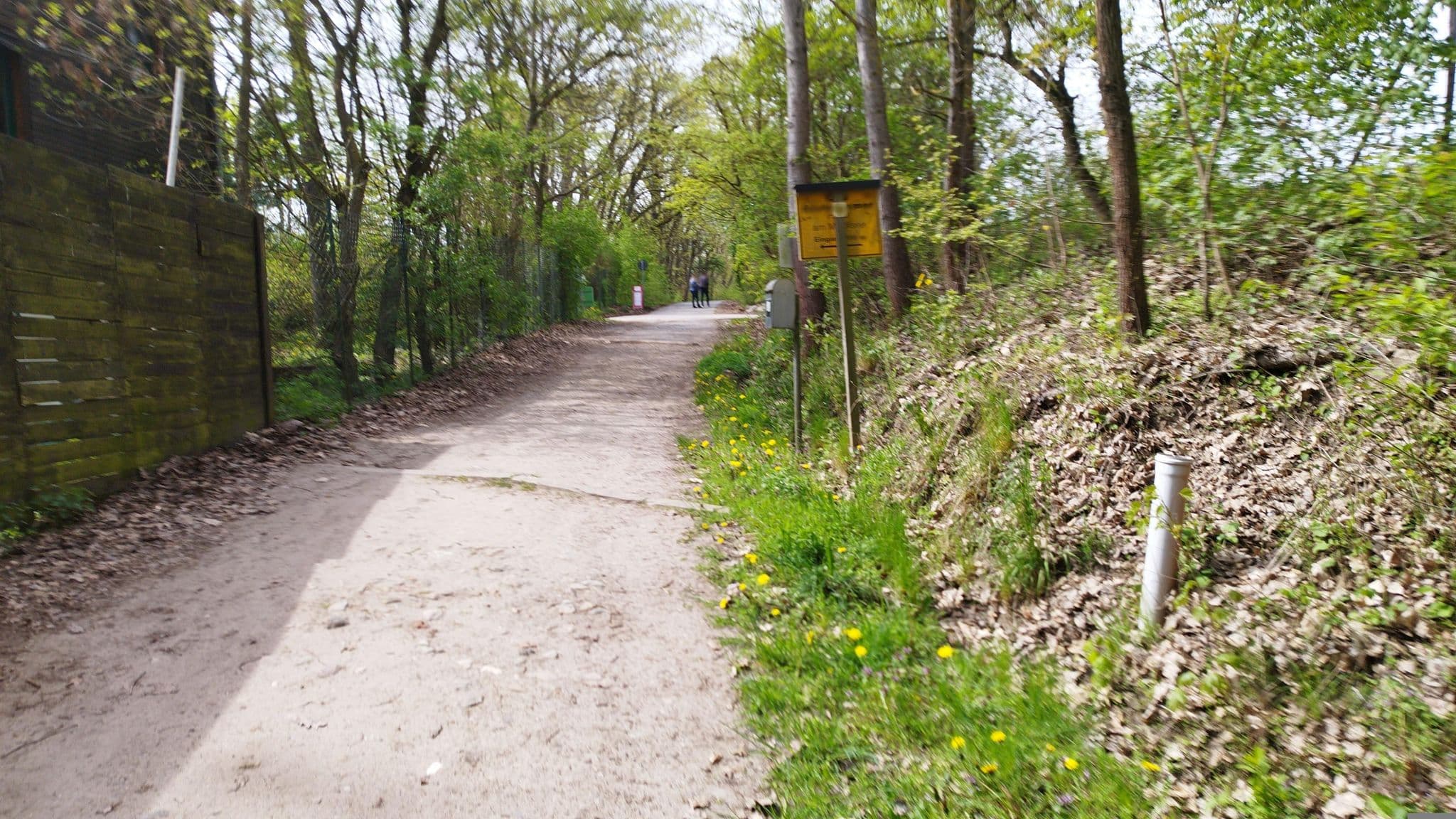Street view near Waldkiez Tiefensee GmbH, Werftpfuhl — © ber319 (CC BY-SA · Mapillary)