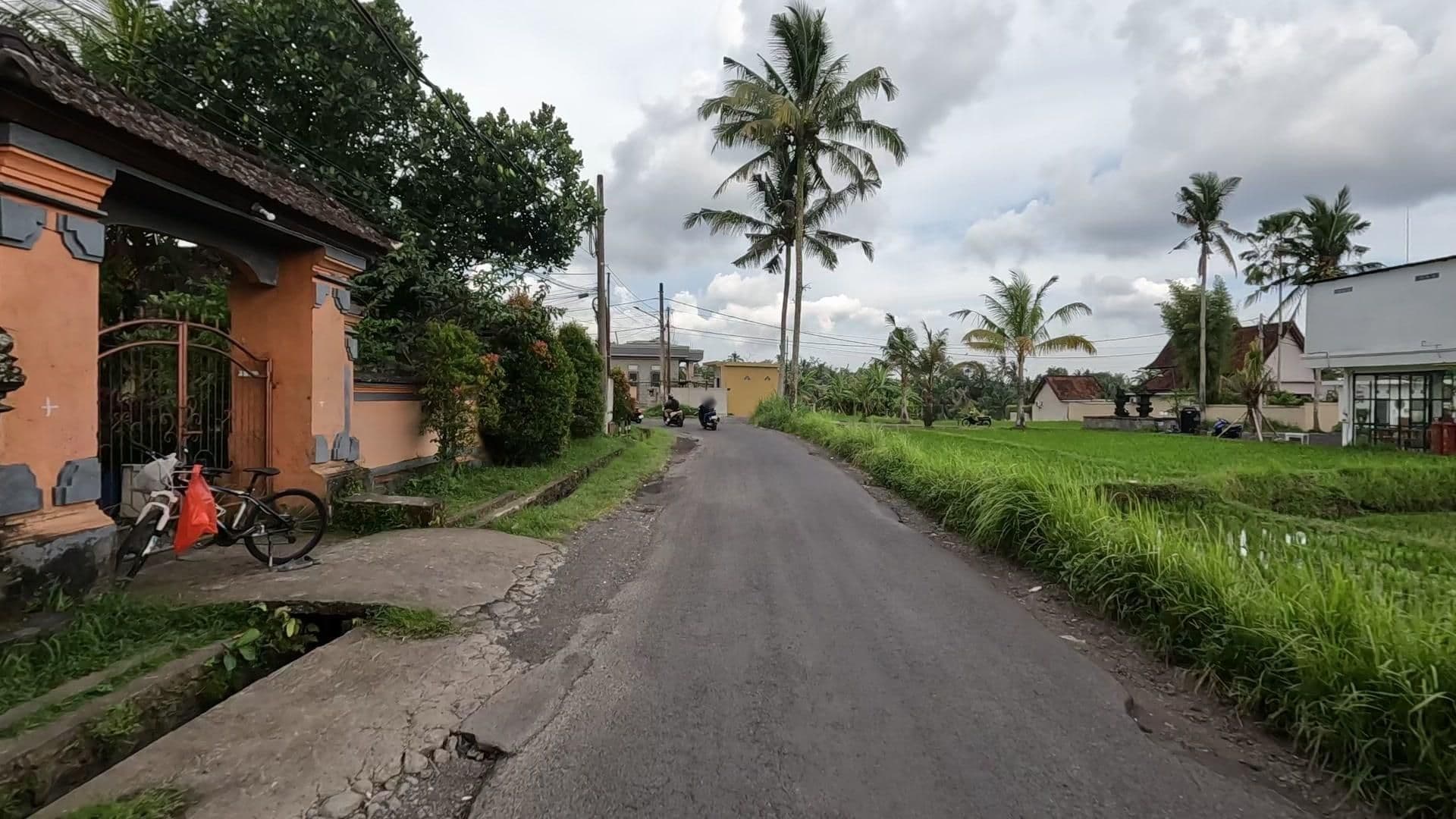 Street view near villa kelag, Ubud