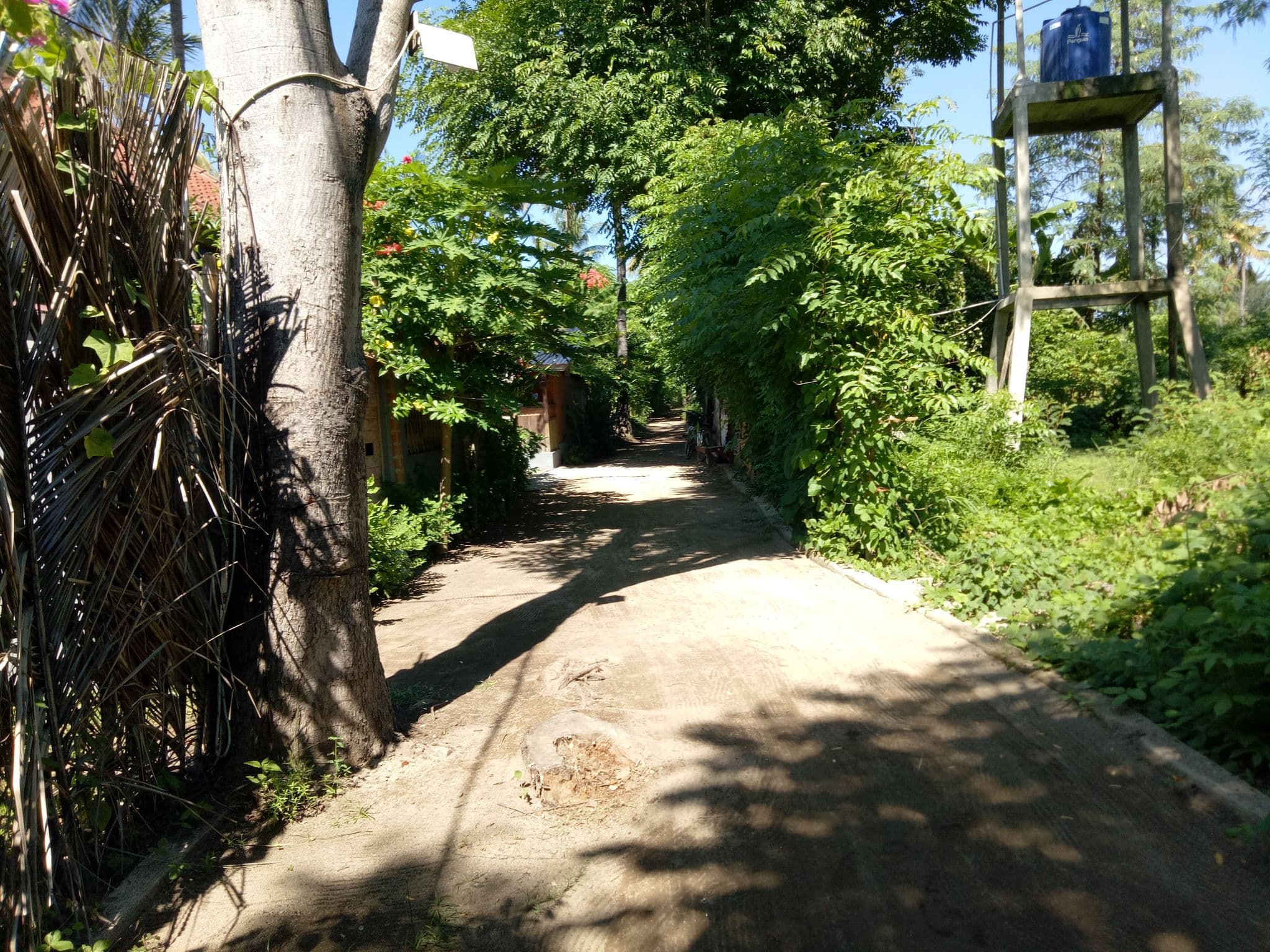 Street view near Sama-lama, Gili Air