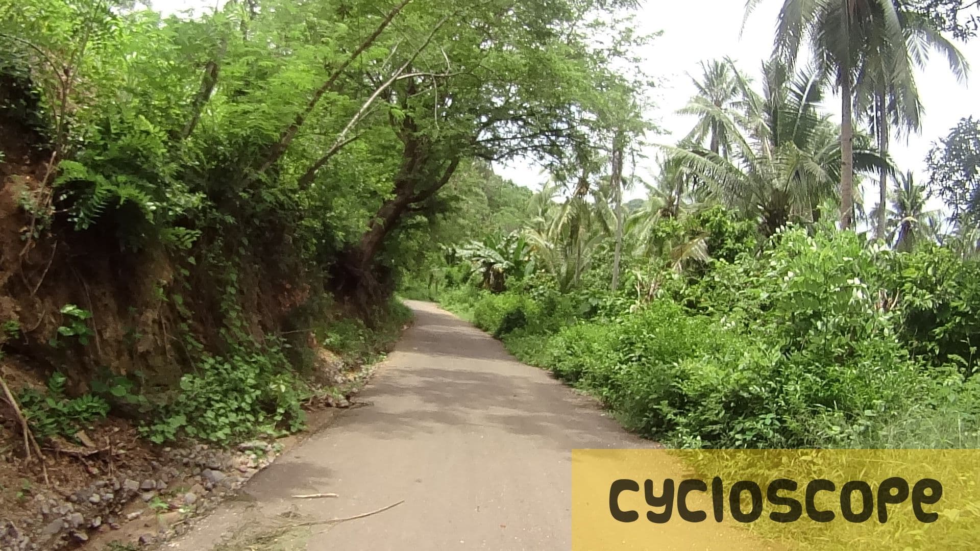 Street view near Ricky Cowboy Homestay, Maumere — © cycloscope (CC BY-SA · Mapillary)