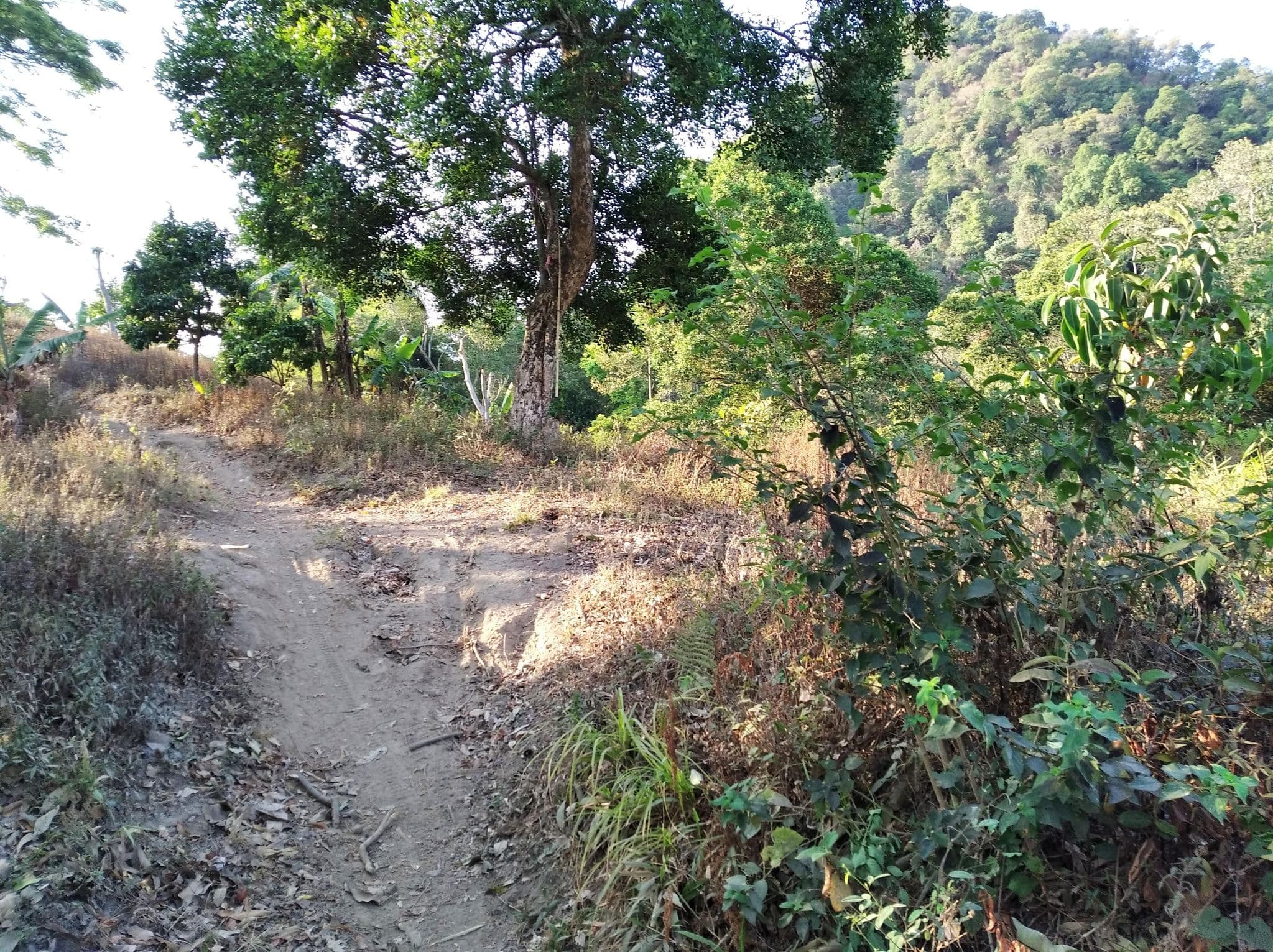 Street view near Titik Nol, Pare — © irhamfirmansyah (CC BY-SA · Mapillary)
