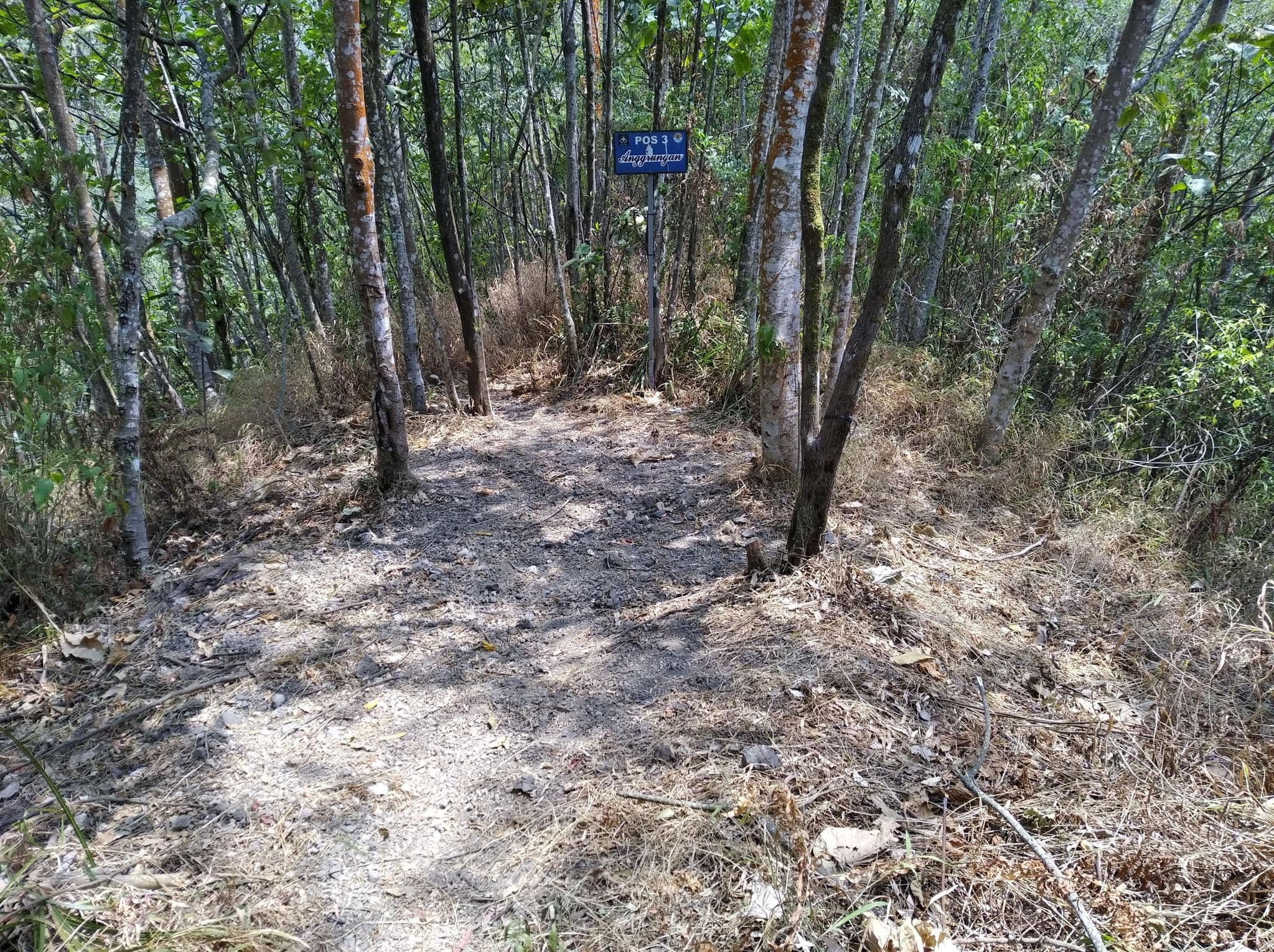Street view near Pos 3, Pare — © irhamfirmansyah (CC BY-SA · Mapillary)