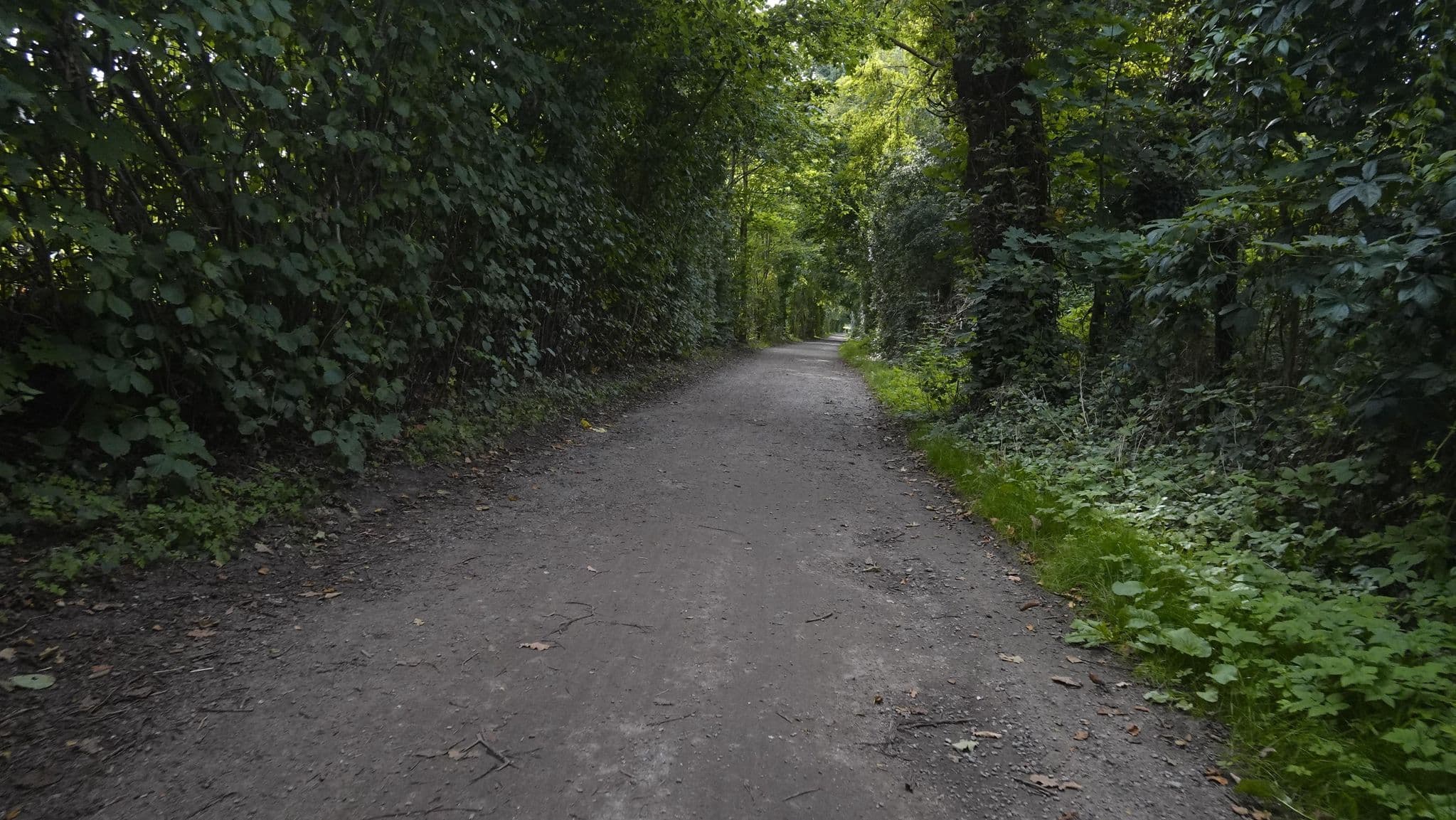 Street view near Hotel Kreuzer, Rissen — © skaycle (CC BY-SA · Mapillary)