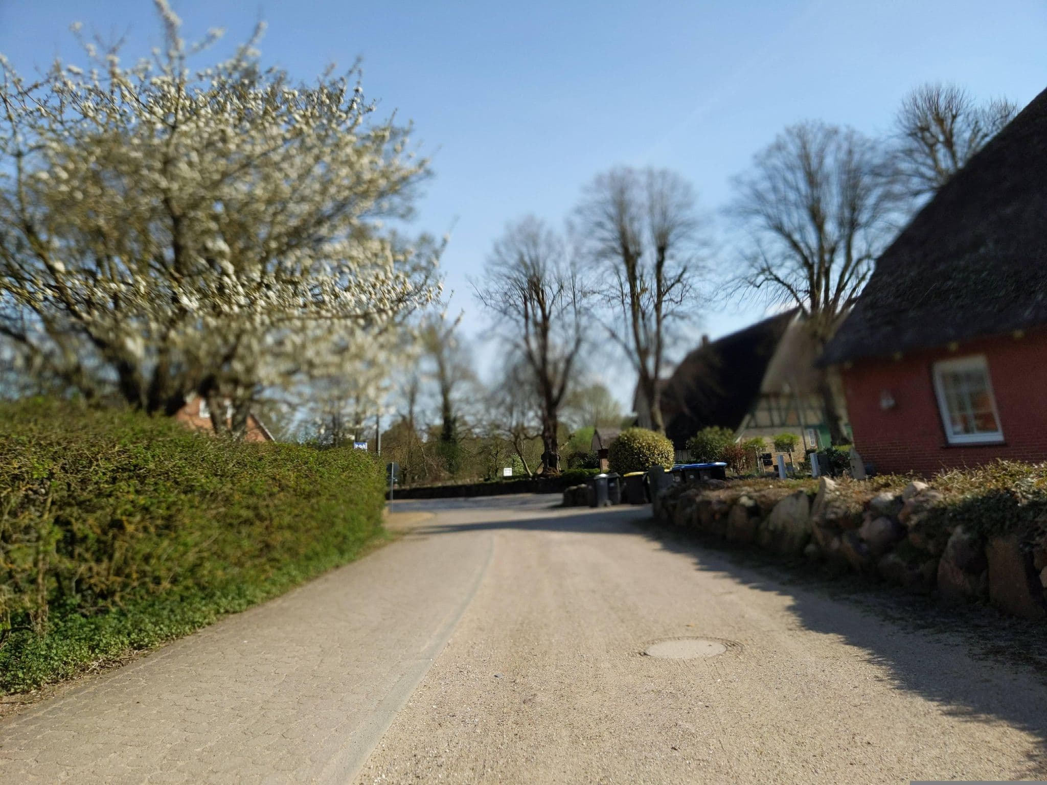 Street view near Hof am See, Bosau — © rasmustravemnd (CC BY-SA · Mapillary)