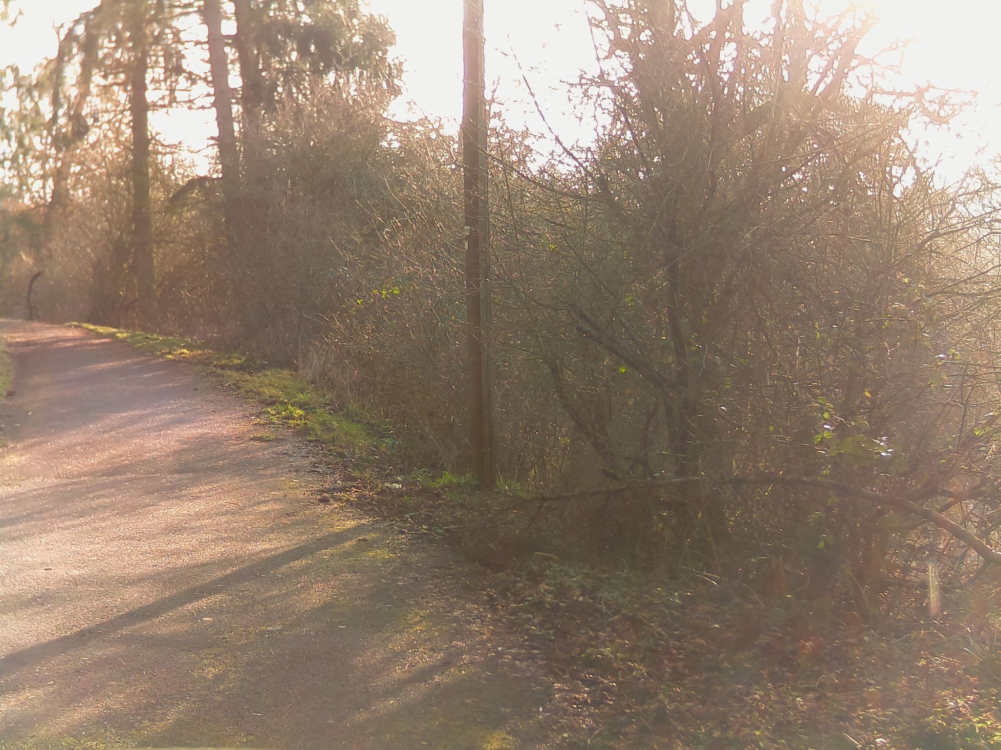 Street view near Naturfreundehaus Alte Treibe, Idar-Oberstein — © ramap (CC BY-SA · Mapillary)