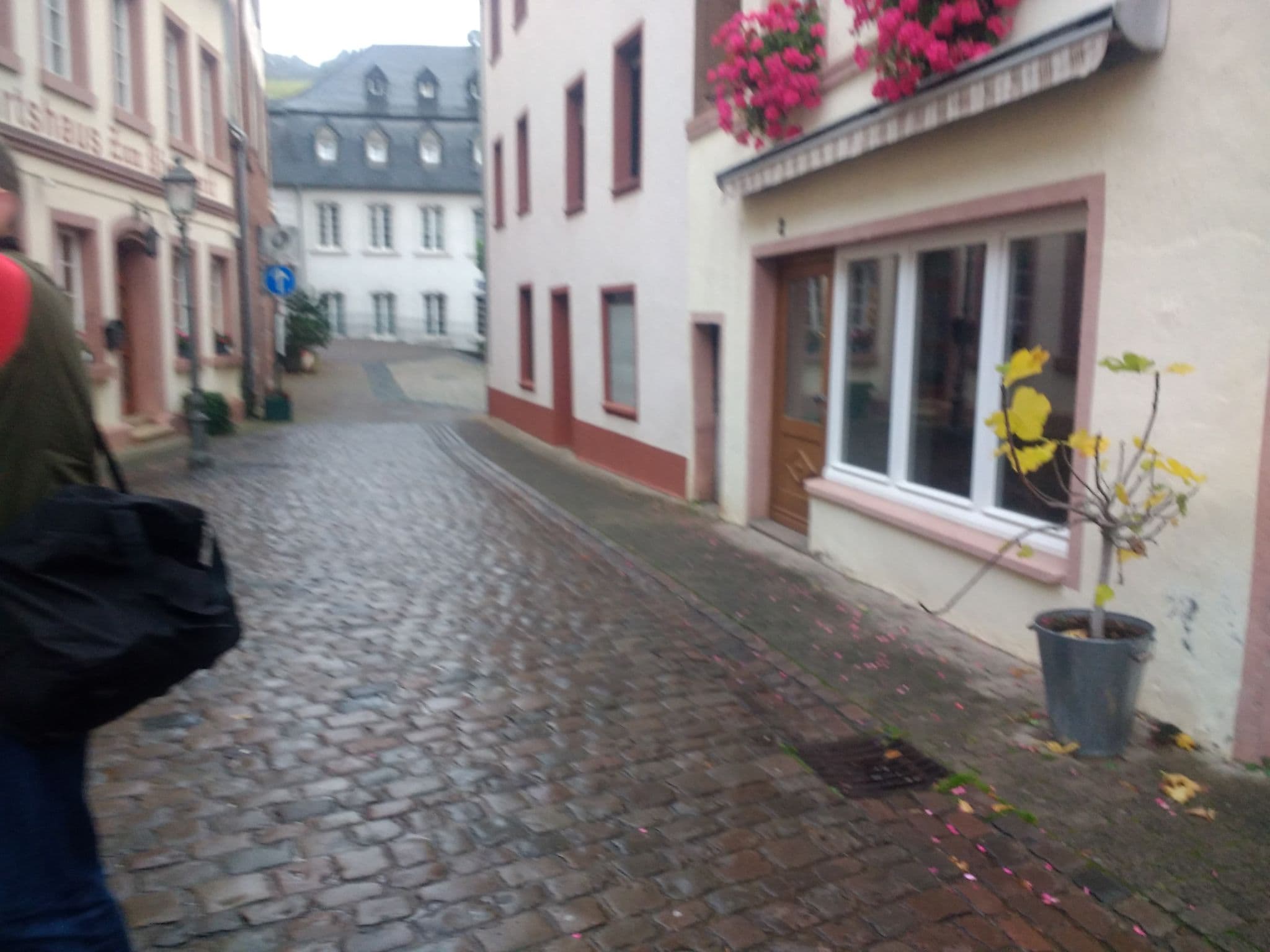 Street view near Wirtshaus zum Pferdemarkt, Saarburg — © fitzy (CC BY-SA · Mapillary)