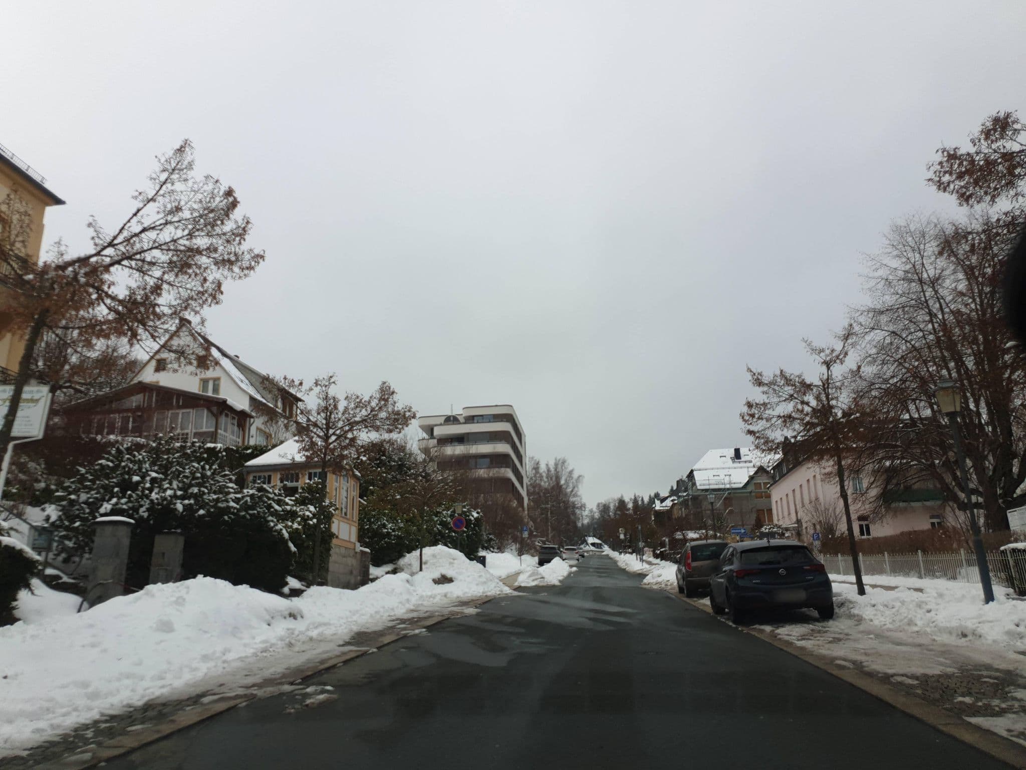 Street view near Pension Lieselotte, Bad Elster — © canislupus (CC BY-SA · Mapillary)