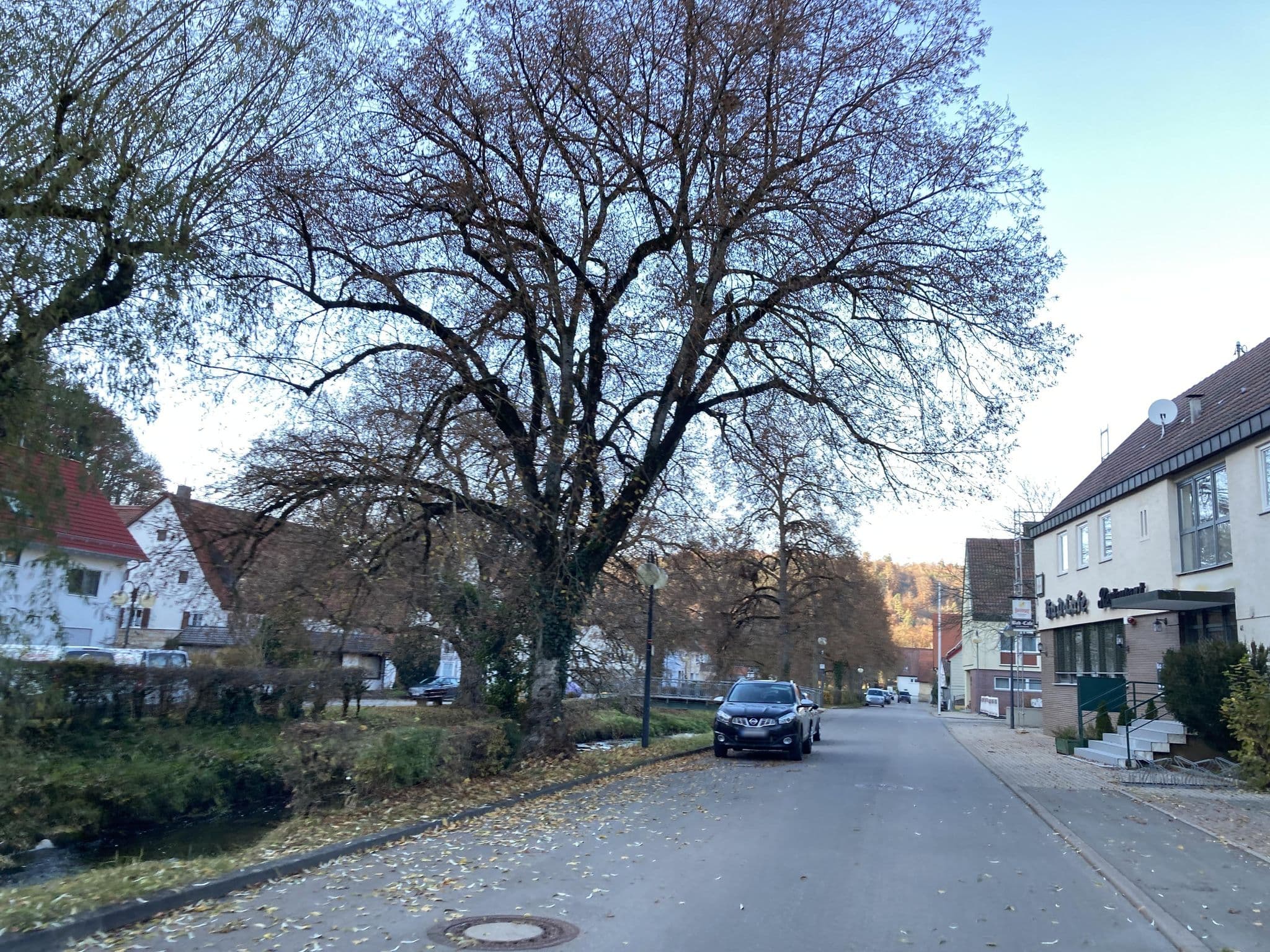 Street view near Bad-Cafe, Rottenburg — © tasmaniadevil (CC BY-SA · Mapillary)
