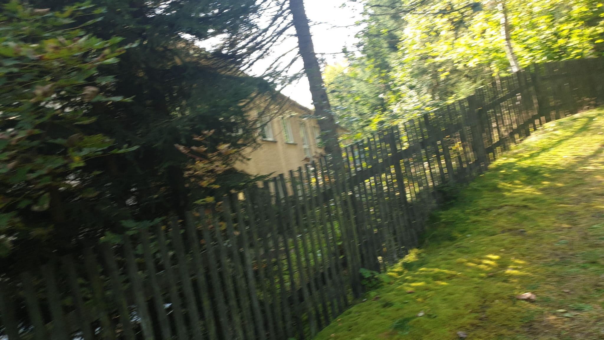 Street view near Gruppenhaus Geyer, Geyer — © jochenb (CC BY-SA · Mapillary)