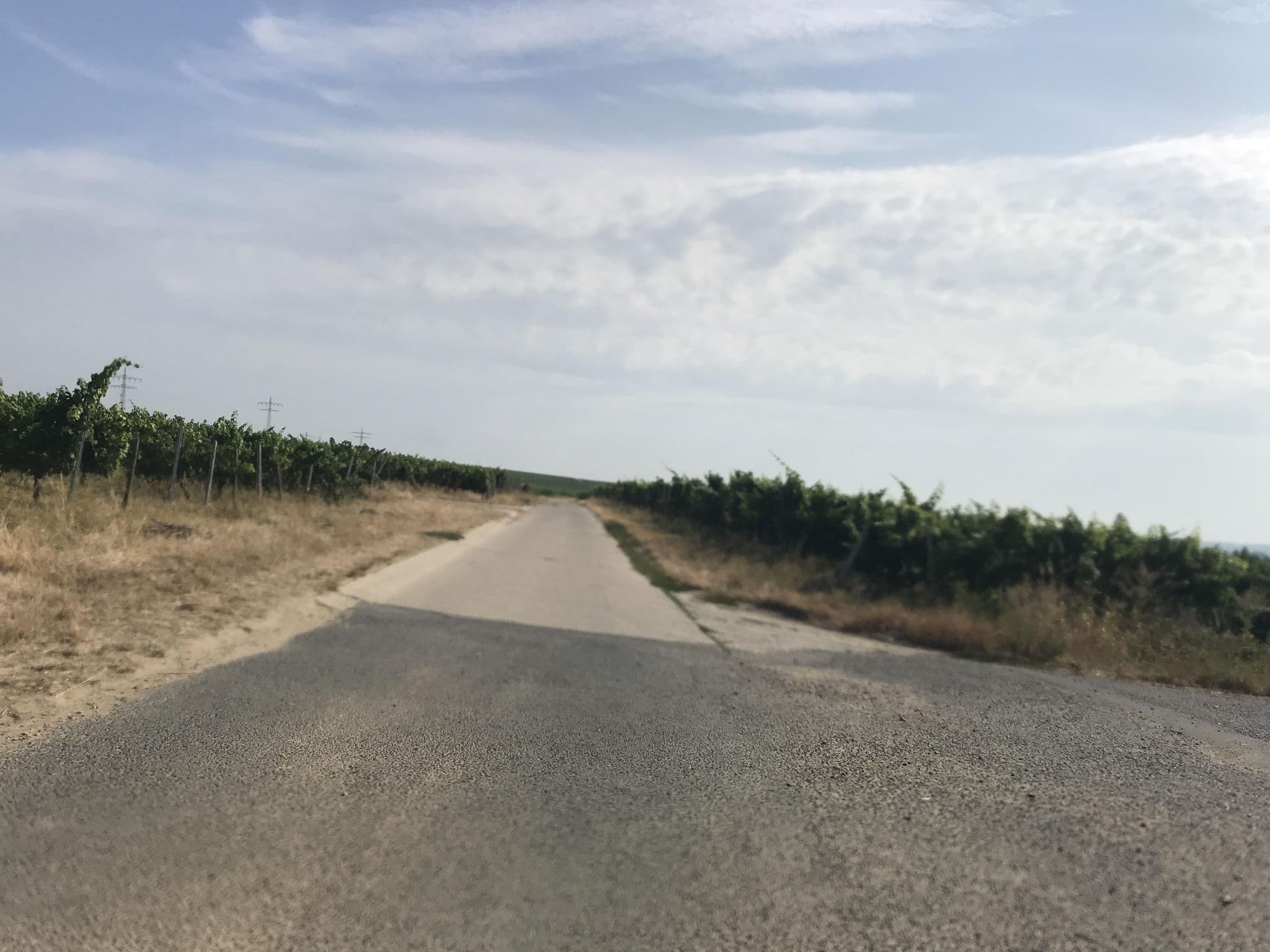 Street view near Gästehaus Weingut Querbach, Kiedrich — © miguel_andrade (CC BY-SA · Mapillary)