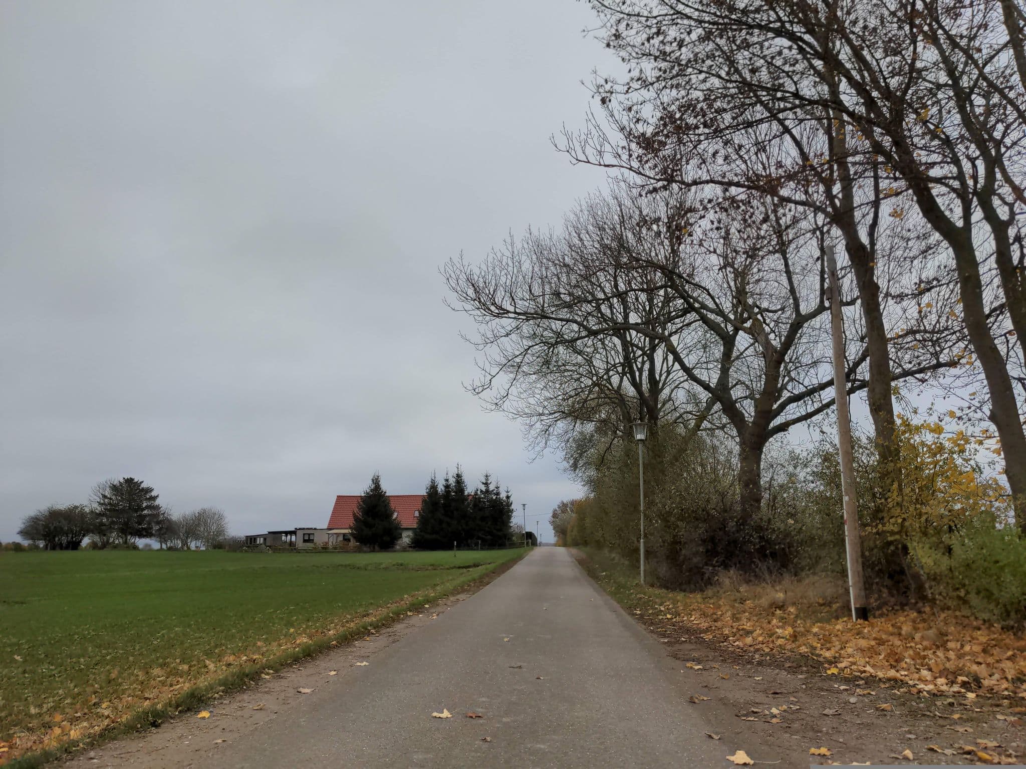 Street view near Ostsee-Radlerpension Boltenhagen, Ostseebad Boltenhagen — © rasmustravemnd (CC BY-SA · Mapillary)