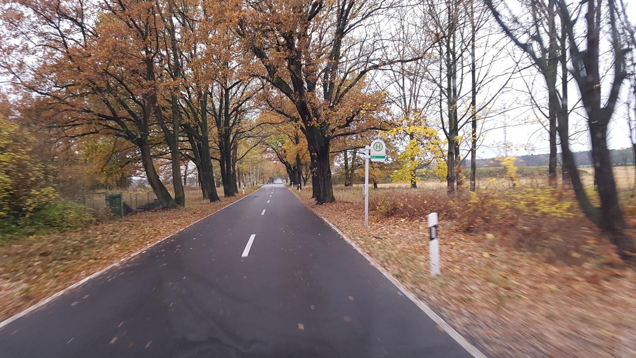 Street view near Hotel am Löschener Wald., Drebkau — © dsmm (CC BY-SA · Mapillary)