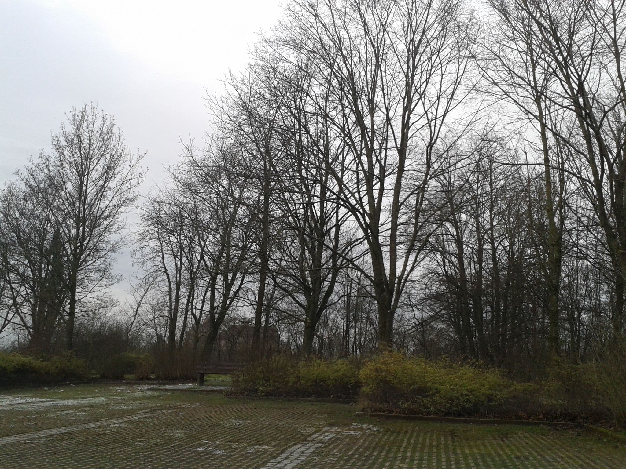 Street view near Veste Coburg, Coburg — © thetornado76 (CC BY-SA · Mapillary)