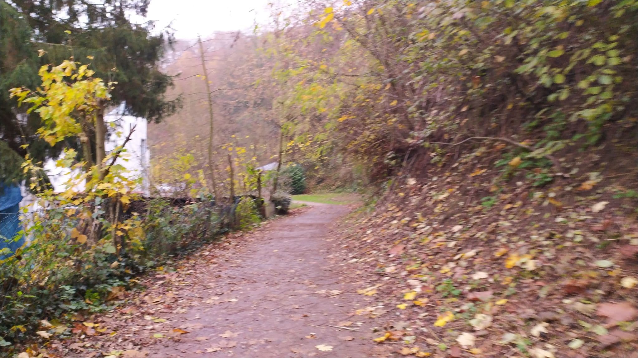 Street view near Haus Angelika, Bensheim — © steinquelle (CC BY-SA · Mapillary)