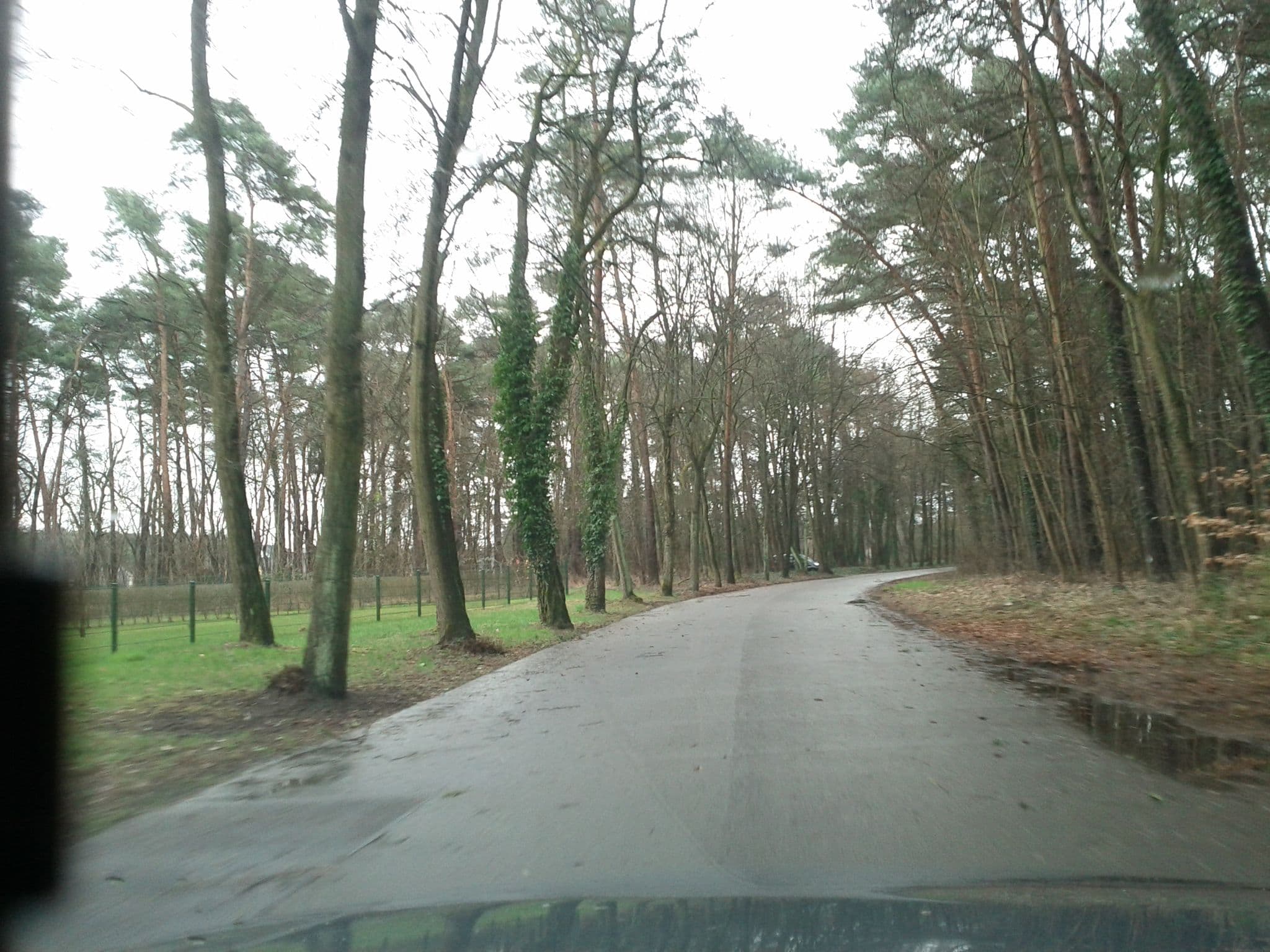 Street view near Goetheresidenz, Bad Saarow — © polarmap (CC BY-SA · Mapillary)