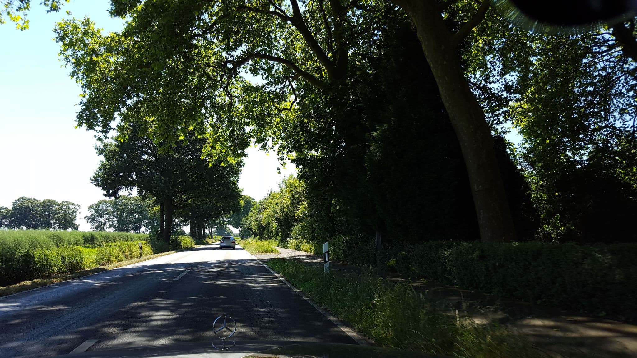 Street view near Gästehaus Alte Schule, Recklinghausen — © mapnrw (CC BY-SA · Mapillary)
