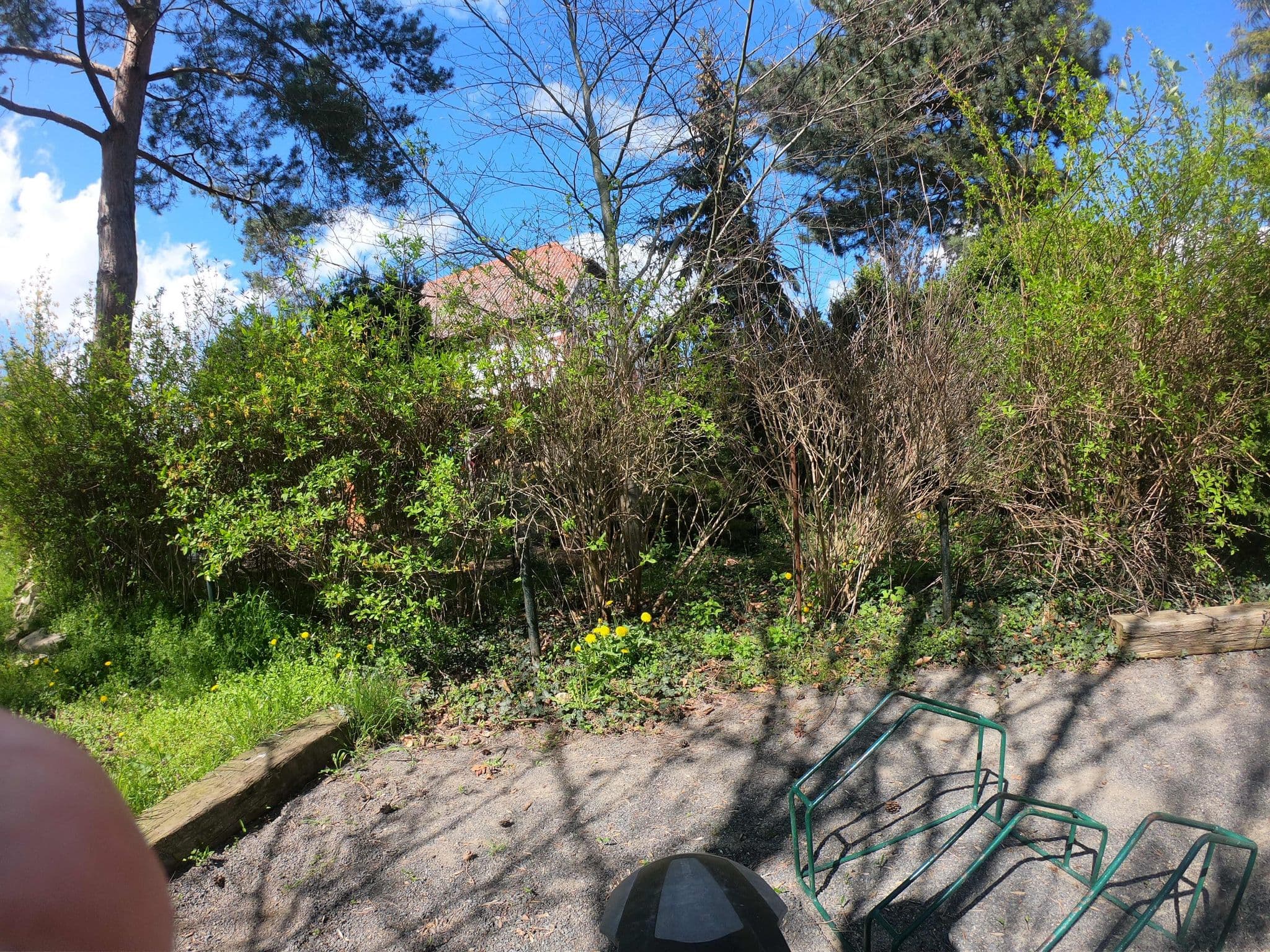 Street view near Korowka, Döllnitz — © natebus (CC BY-SA · Mapillary)