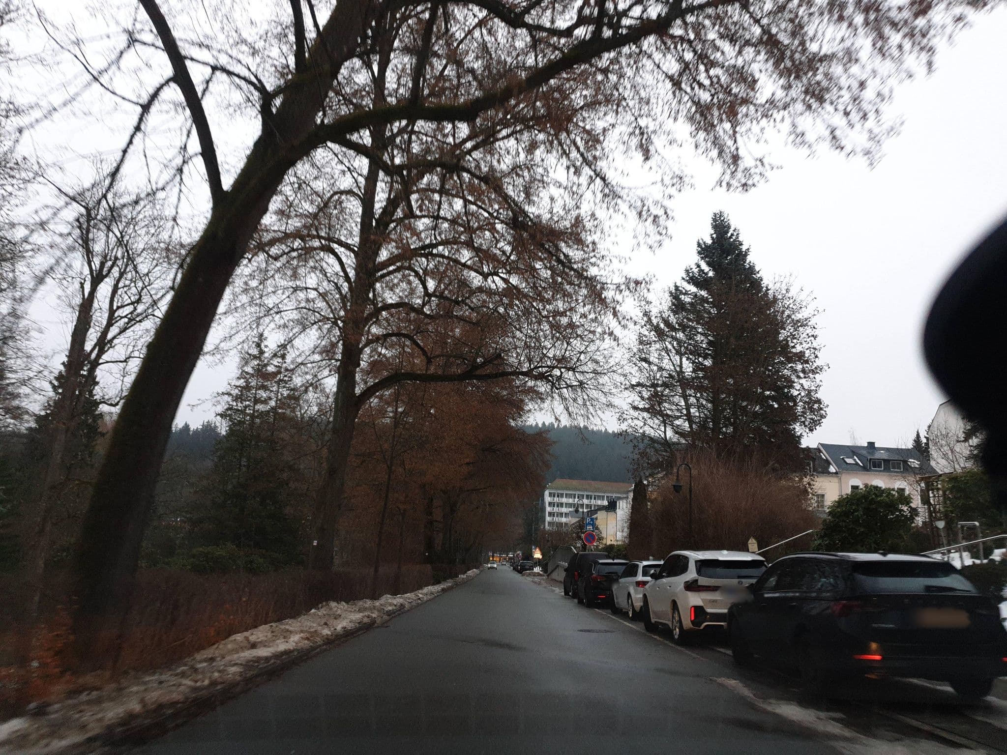 Street view near Ferienwohnung Carmen & Anja, Bad Elster — © canislupus (CC BY-SA · Mapillary)