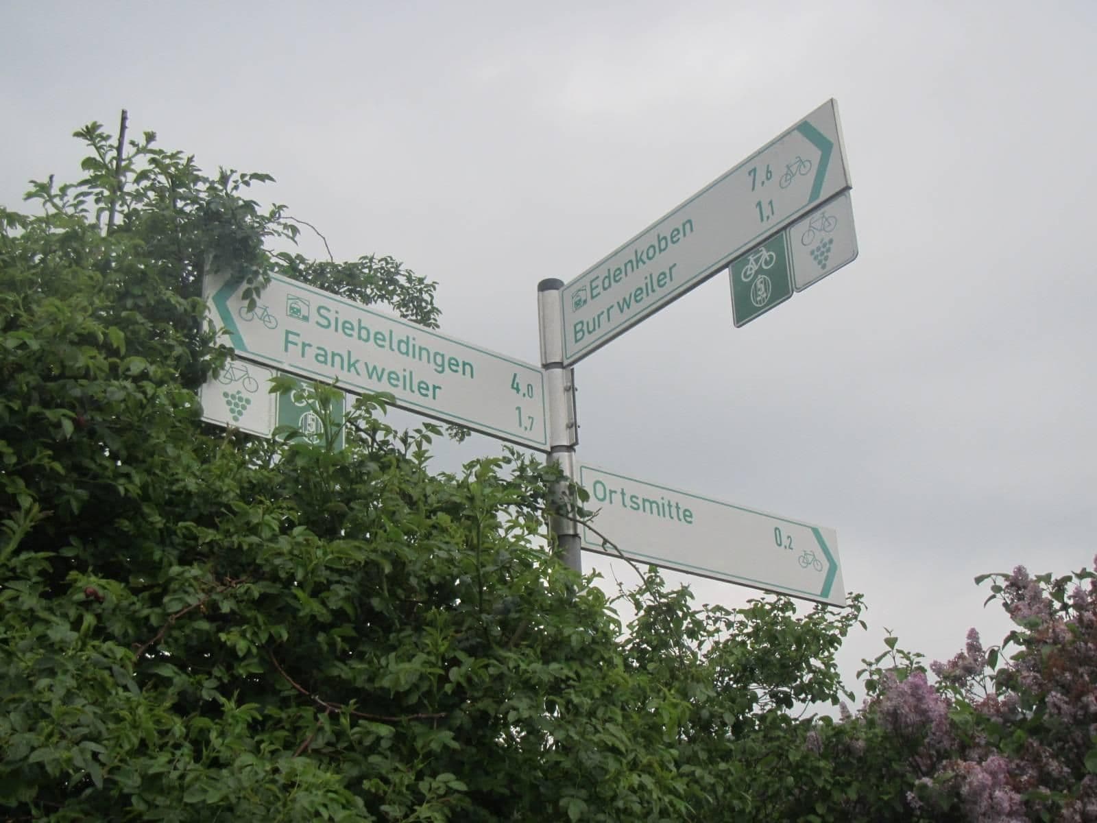 Street view near Wohnmobilstellplatz Weingut Wadle, Albersweiler — © VIA_TZ (CC BY-SA · Mapillary)