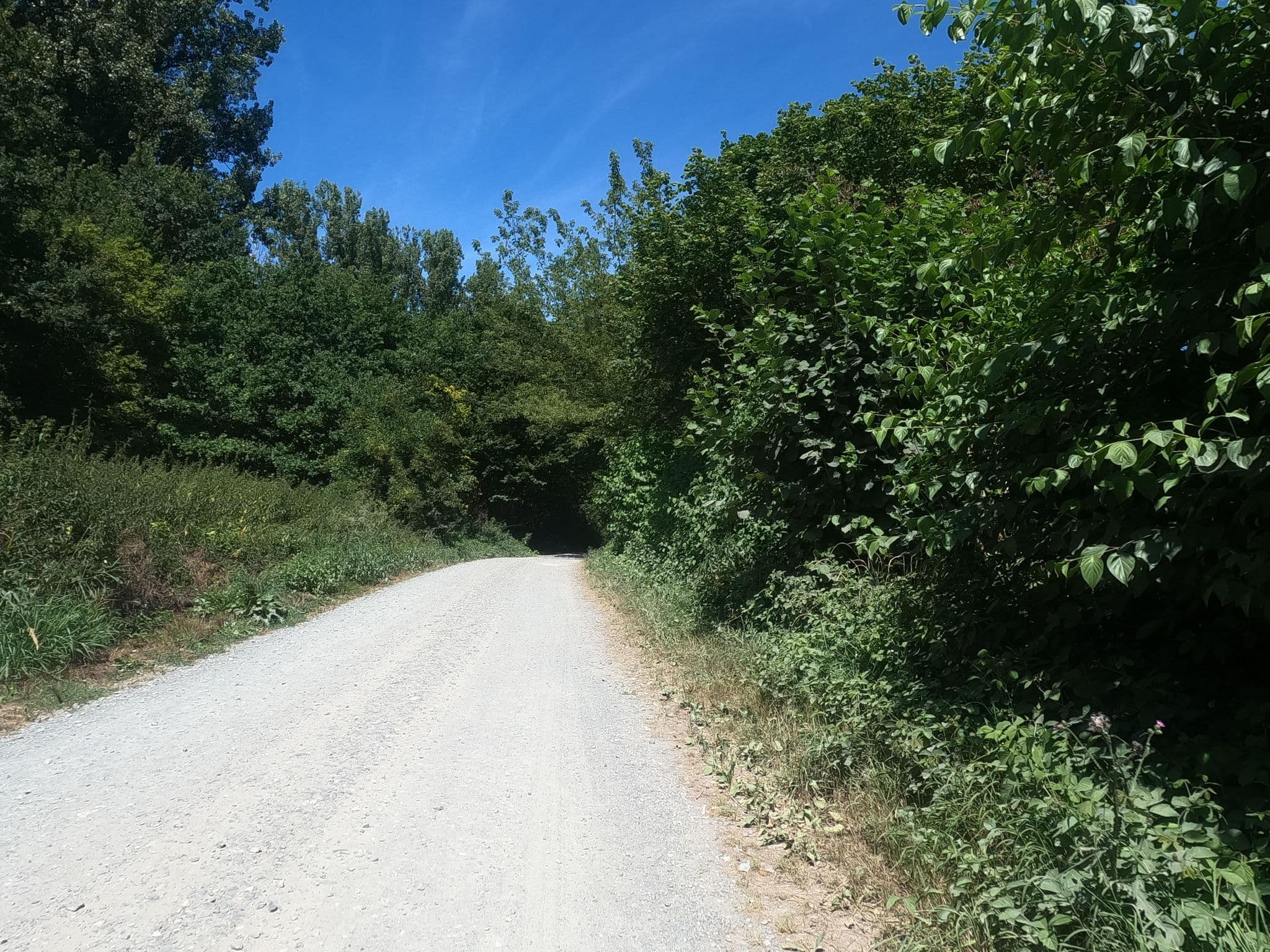 Street view near Campingplatz Jakobsbergerau, Nackenheim — © chuck (CC BY-SA · Mapillary)