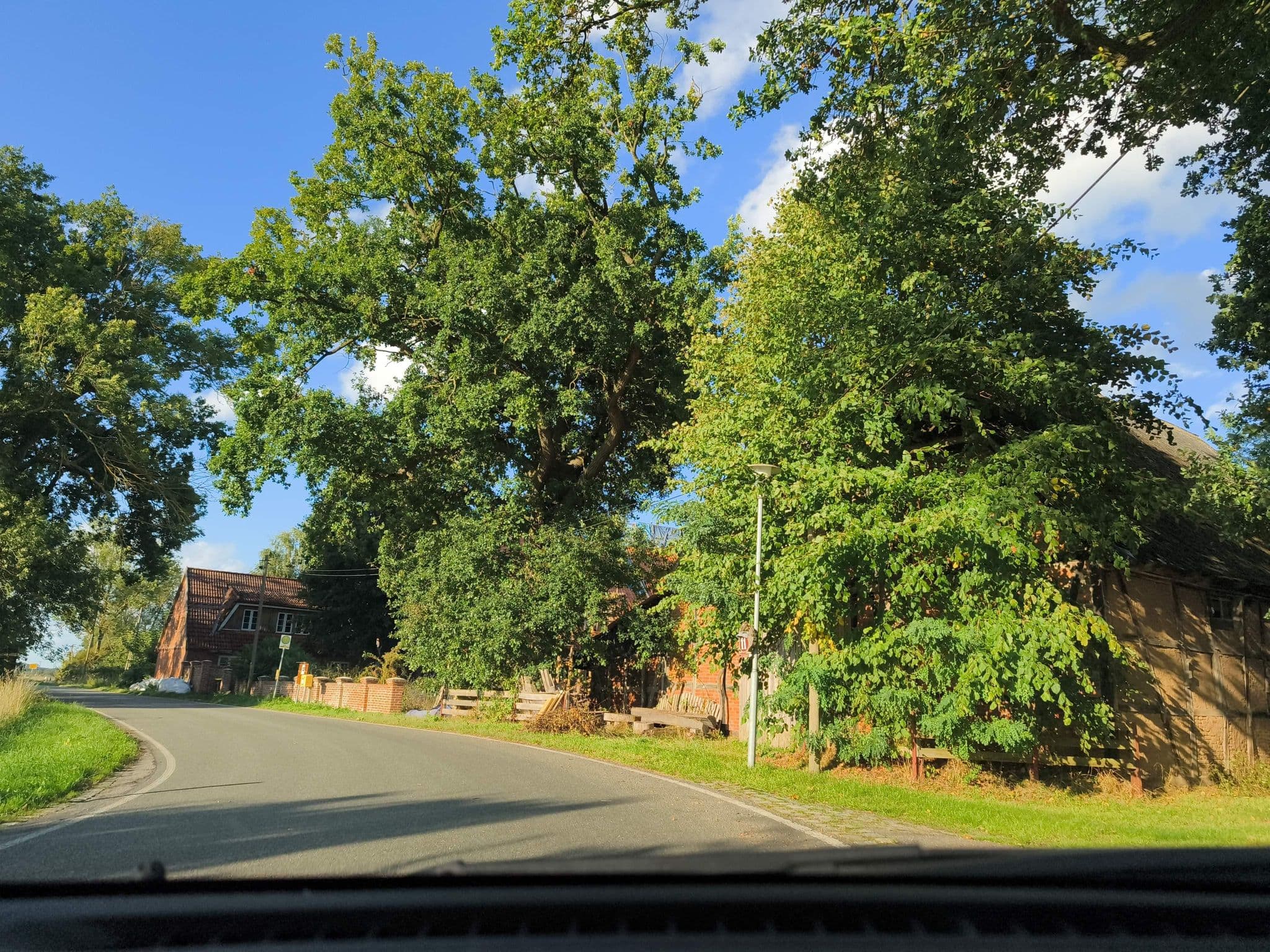 Street view near Alteneichen, Hitzacker — © hotteliene (CC BY-SA · Mapillary)