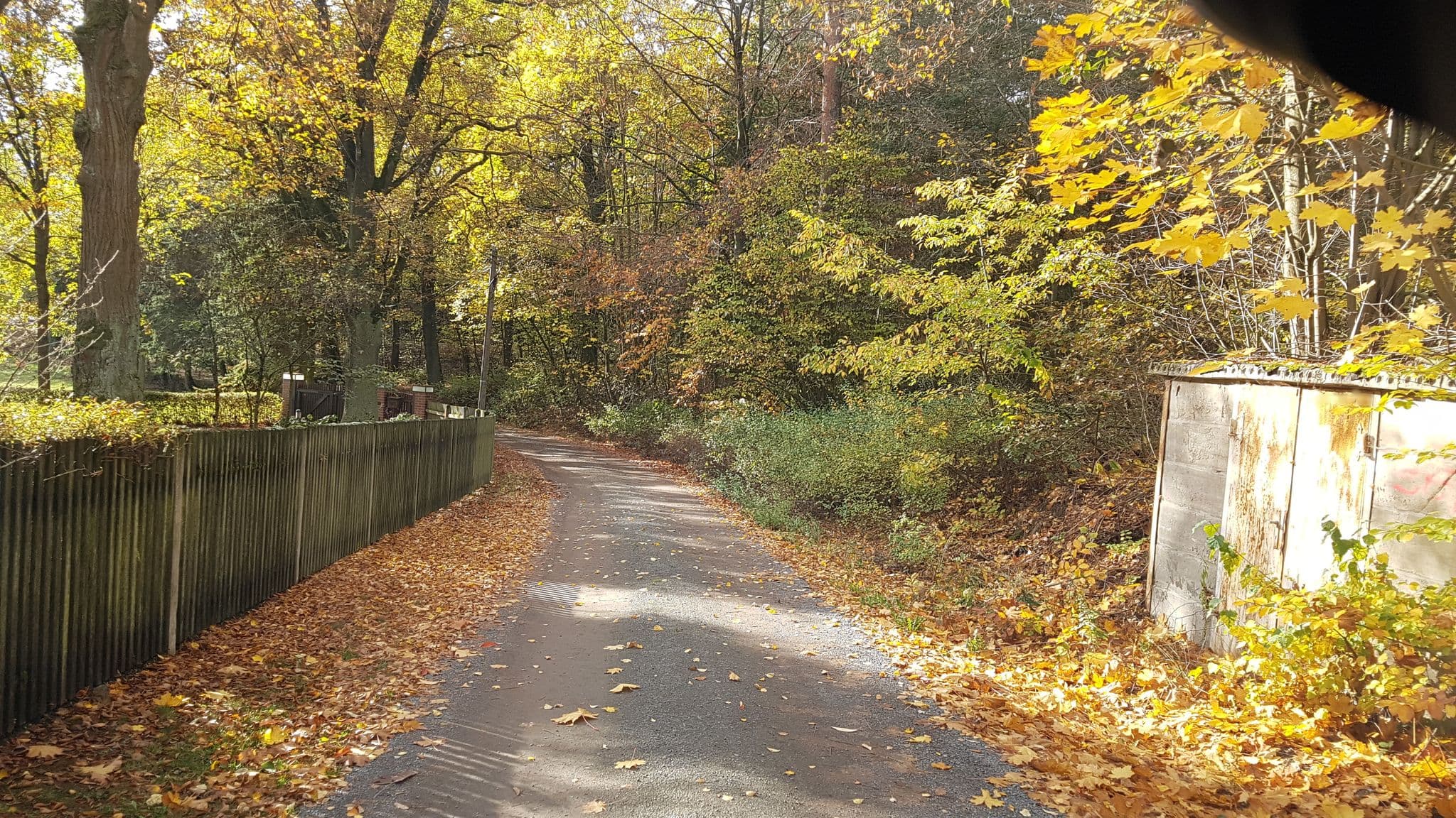 Street view near Ferienhaus Schmannewitz, Dahlen — © dsmm (CC BY-SA · Mapillary)