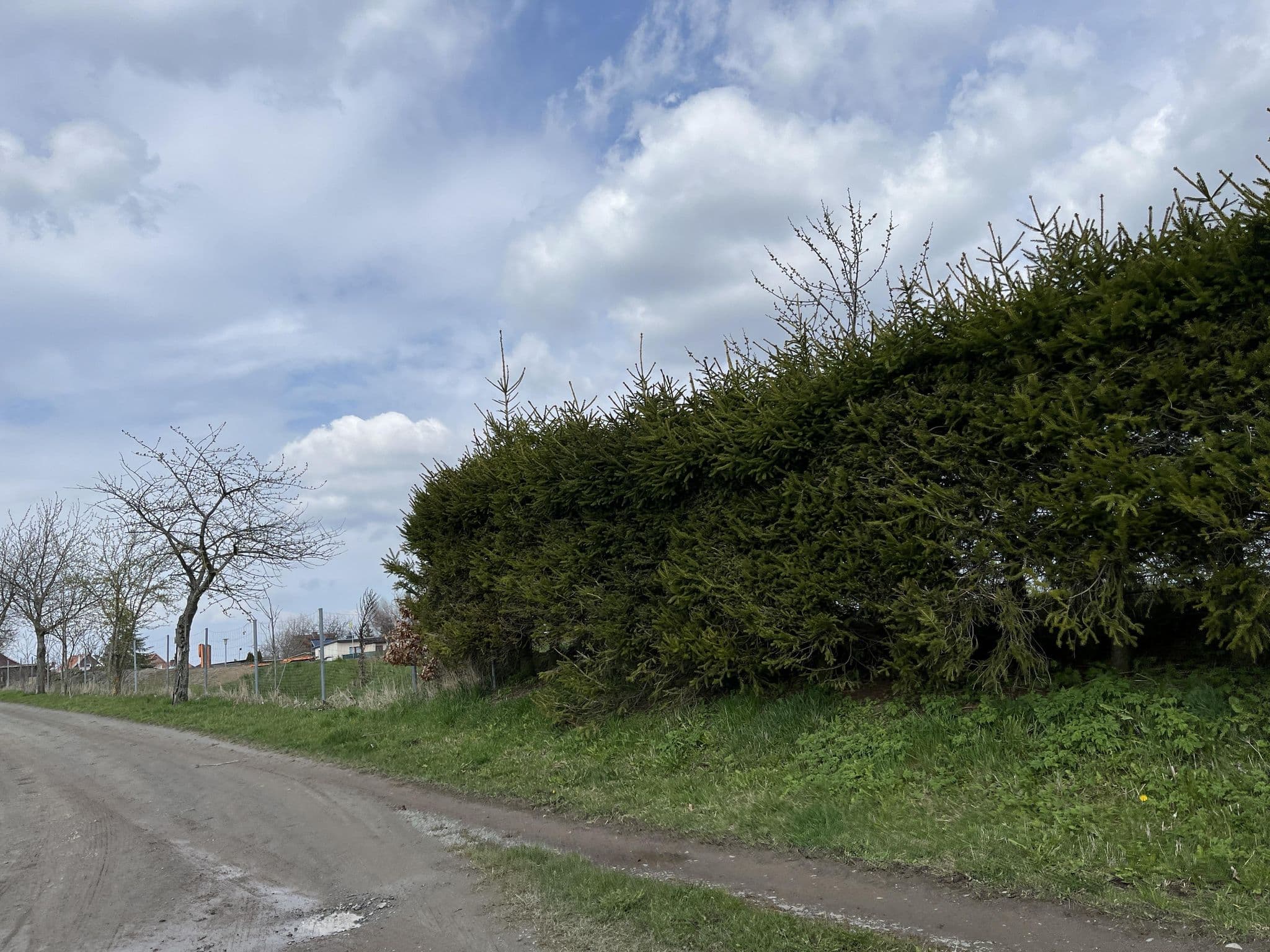 Street view near Campingplatz Panoramablick, Harzgerode — © denali6194 (CC BY-SA · Mapillary)