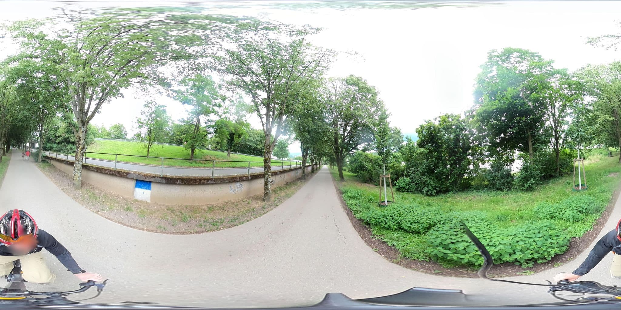 Street view near Reisemobil-Stellplatz Baden-Baden, Sinzheim — © RadNETZ (CC BY-SA · Mapillary)